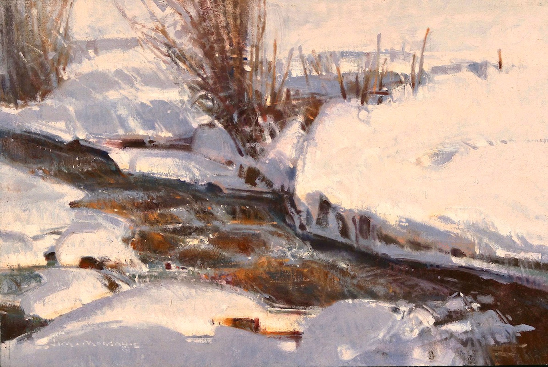 Winter Stream with Mink Tracks by Jim Morgan