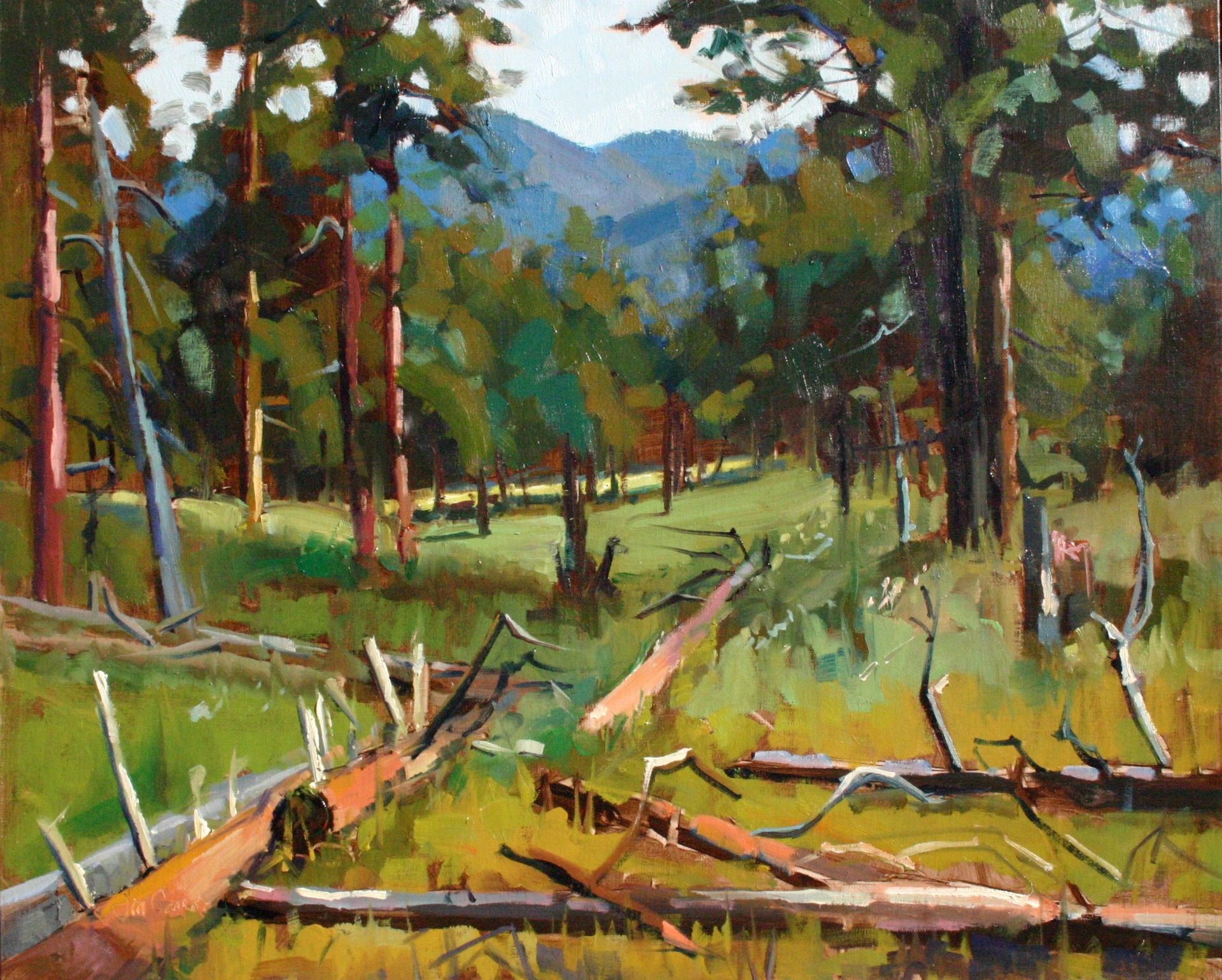 Deer Mountain Trail by Jim Carson