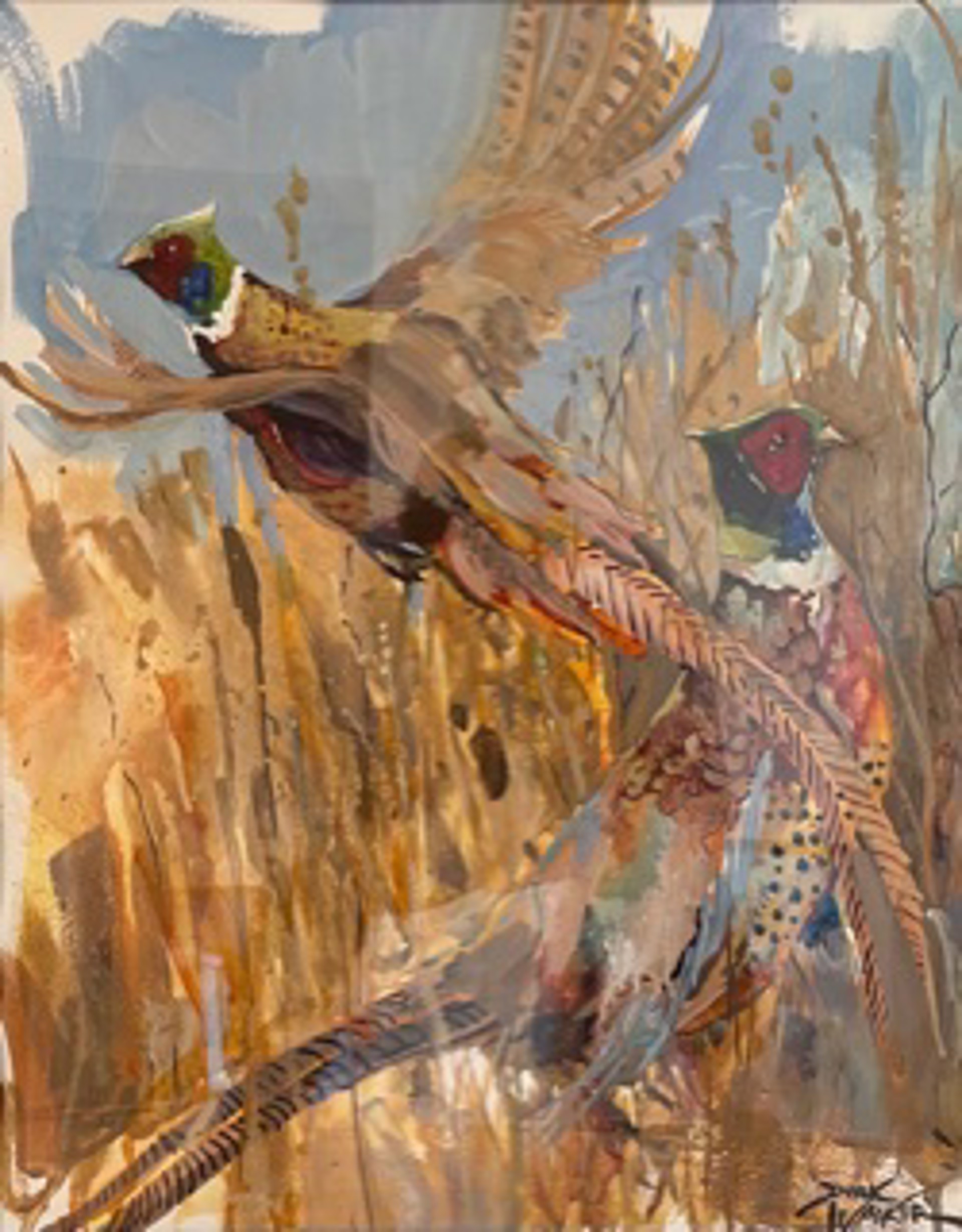 Pheasants by Dirk Walker