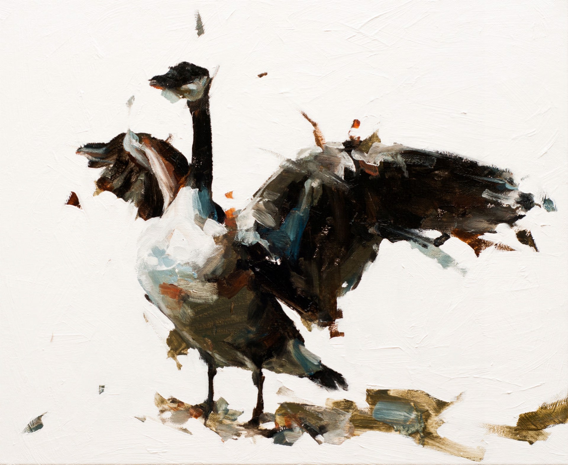 Goose III by Thibault Jandot