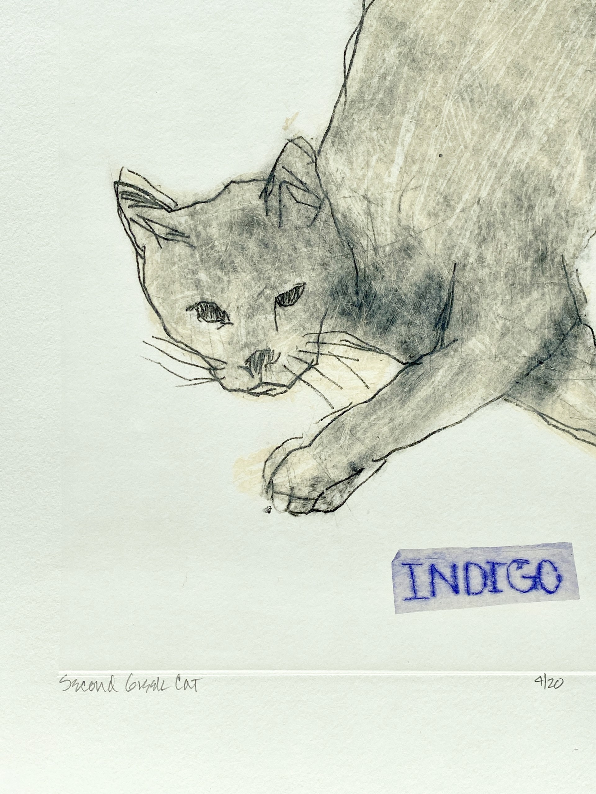 Second Greek Cat (Indigo) by Paula Schuette Kraemer