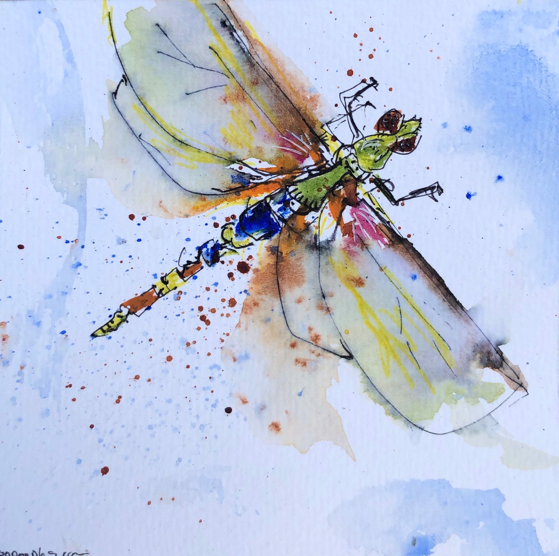 Dragonfly II by Michael Haun