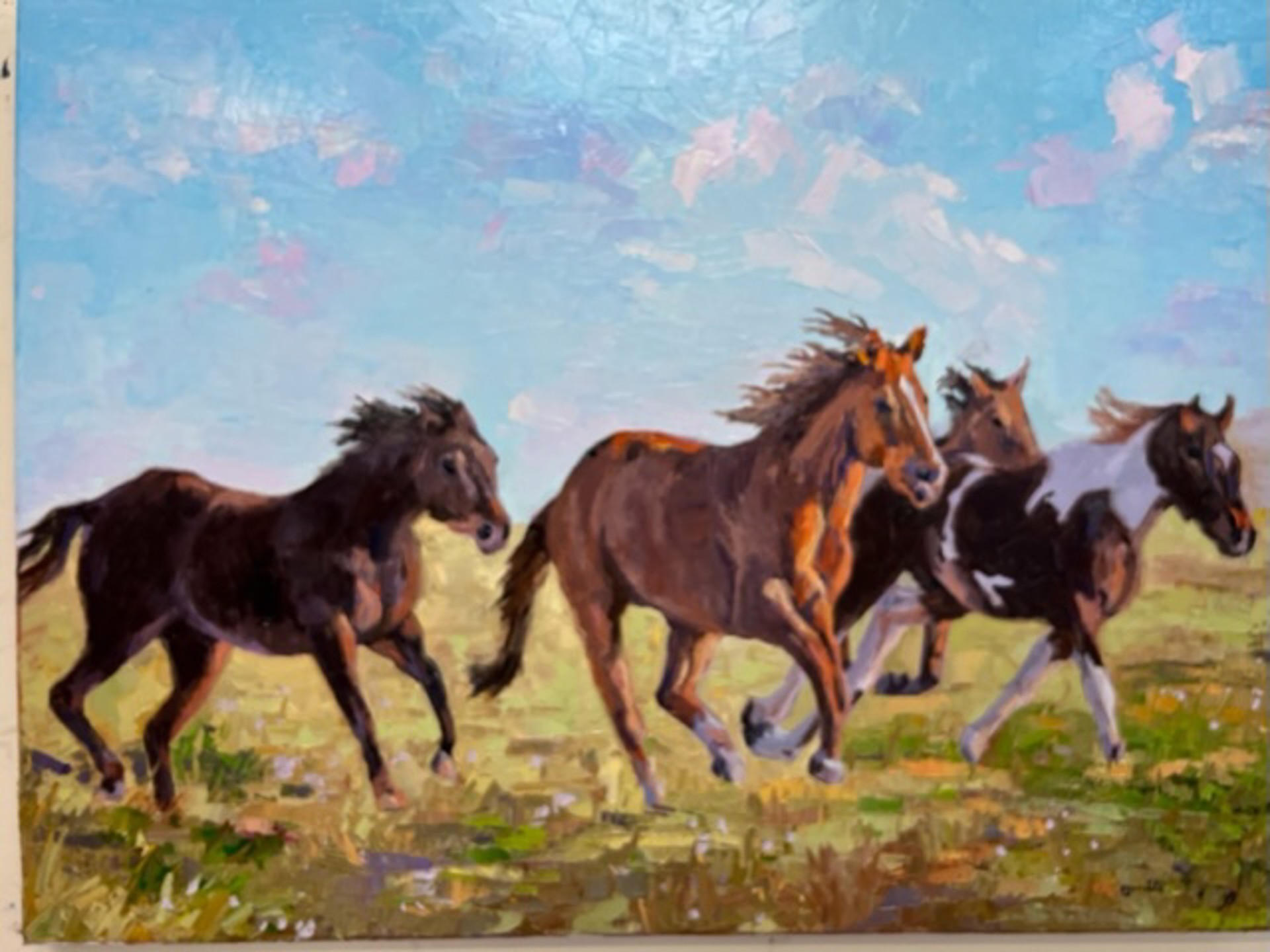 Wild Ponies by Garth Williams