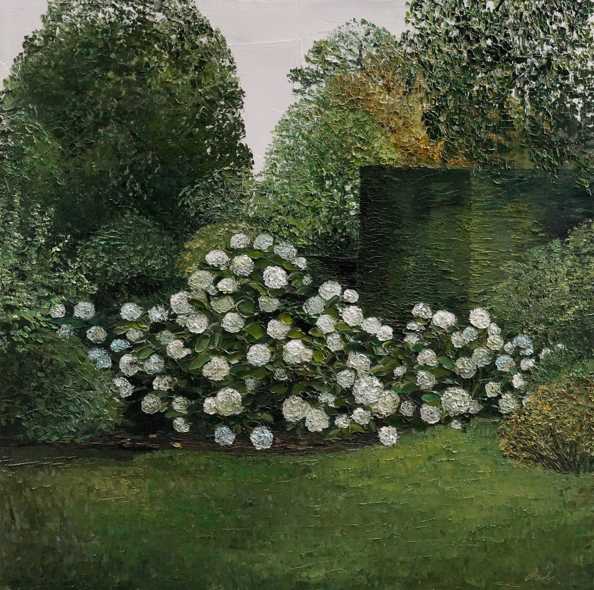Hydrangea Bush and Kept Hedge by Emily Persson