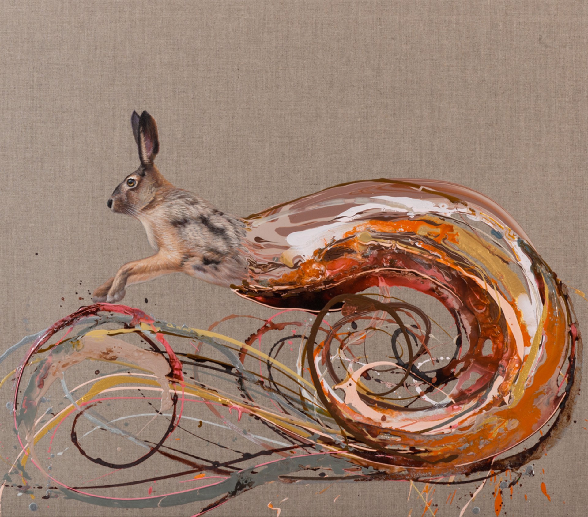Wild Rabbit (Edition) by Gav Barbey