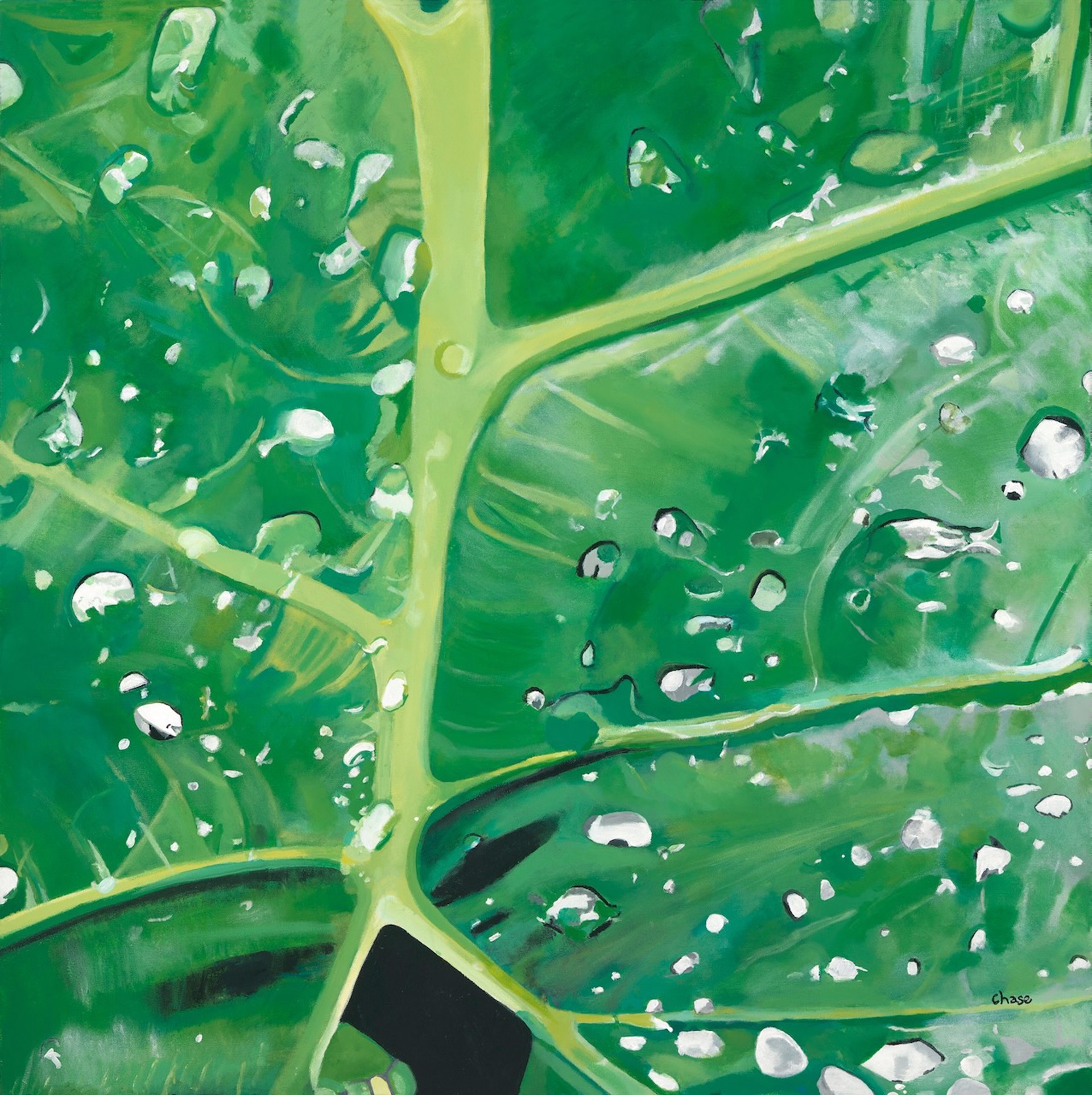 Wet Leaf by Abigail Chase Miller