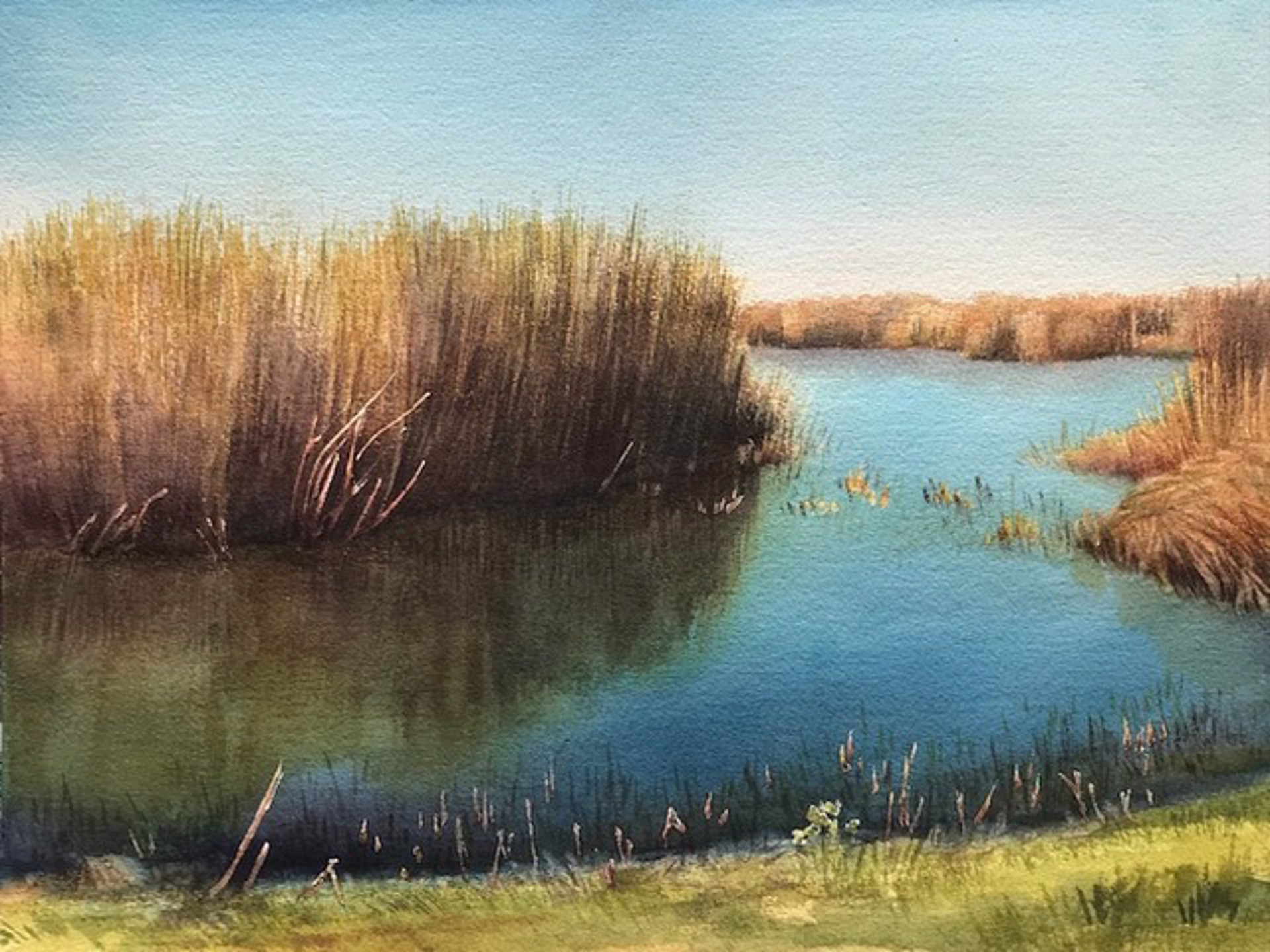 Shovler Pond, ANWR by Ken Mazzu