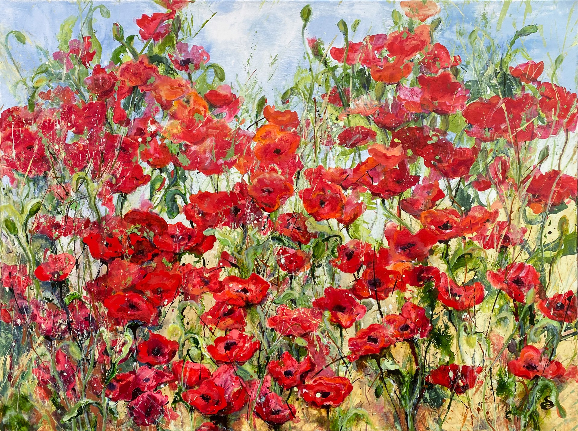 Poppy Red, France by Dianne Ogg