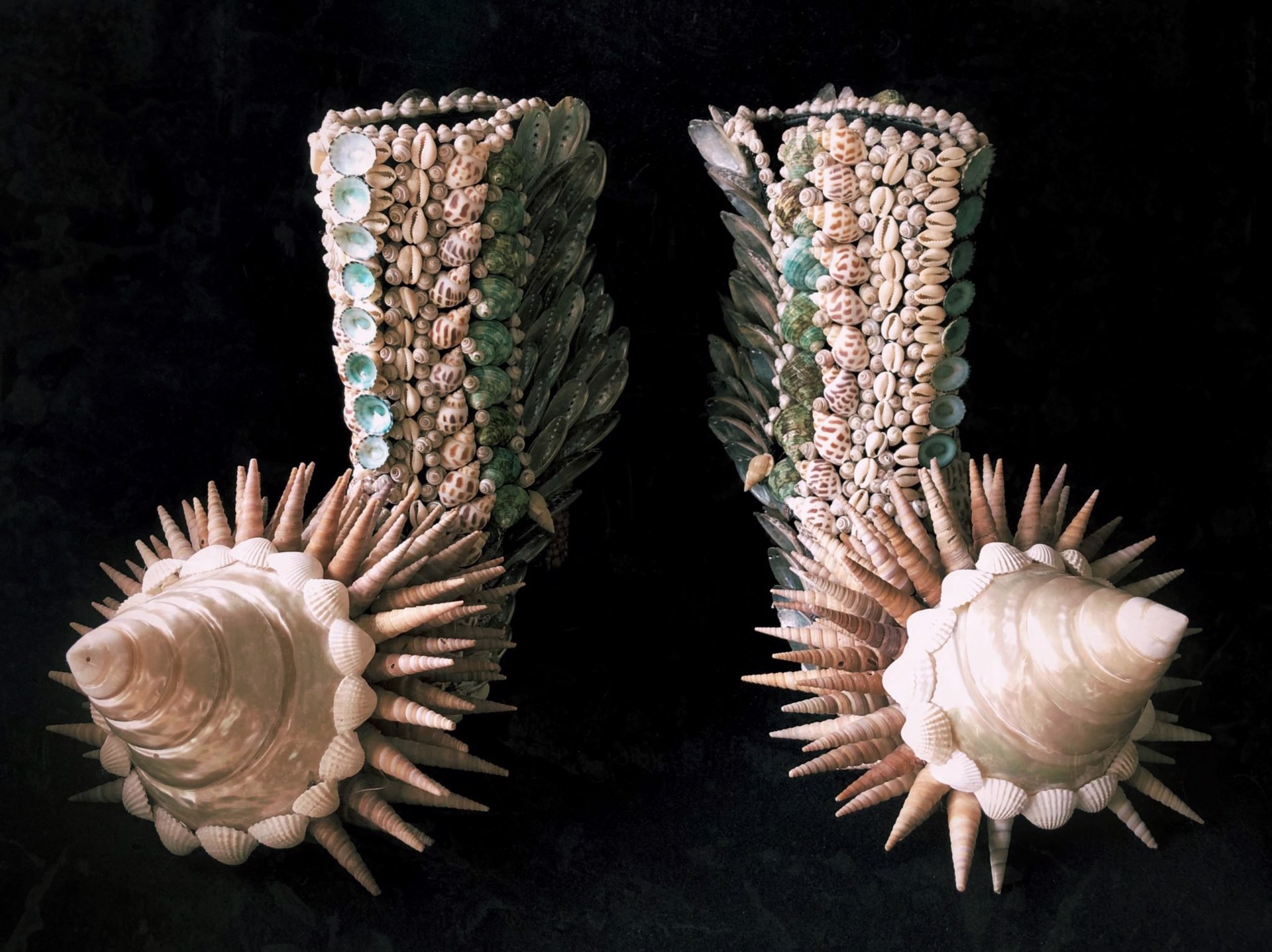 Sea Shells - Skins Series by Melissa Meier