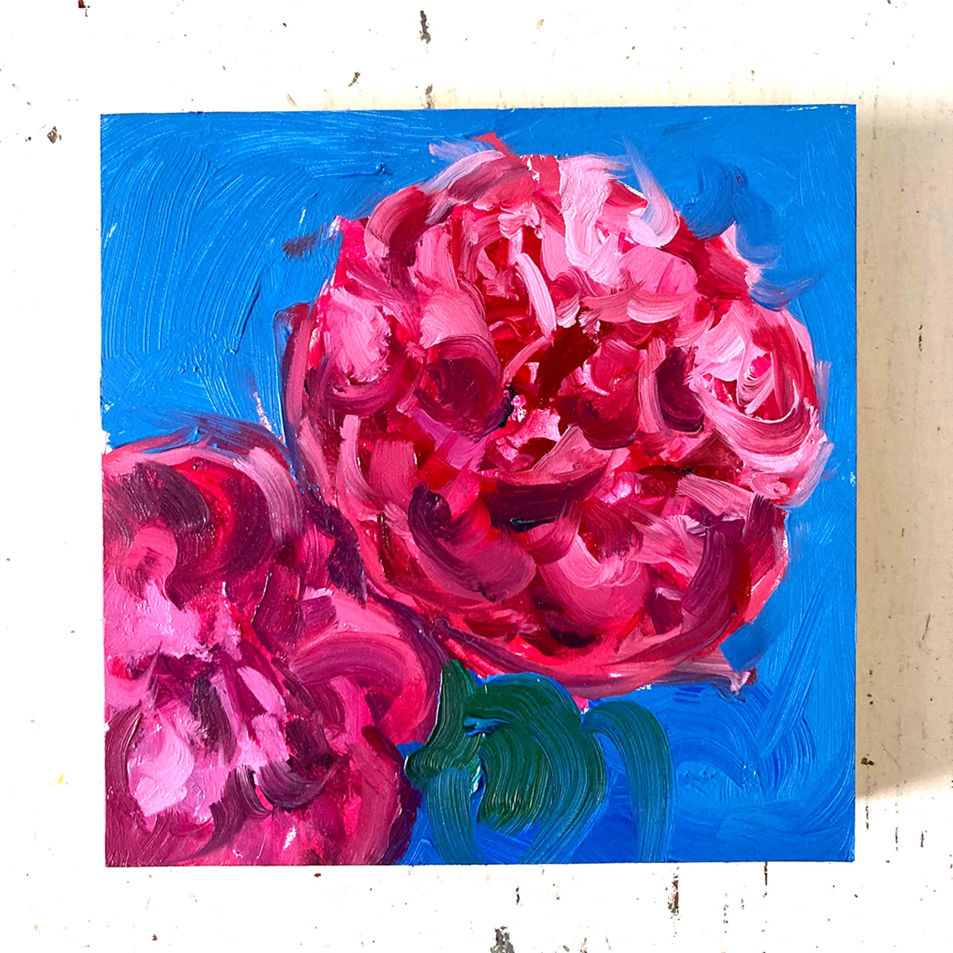 Peony Project #13 by Amy R. Peterson*