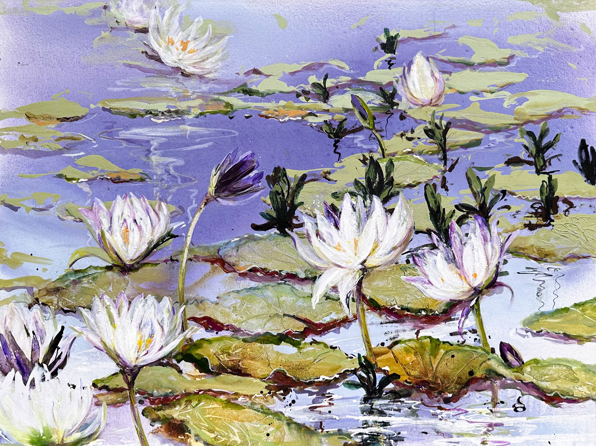 White Lily Lagoon, Kakadu, N.T. by Dianne Ogg
