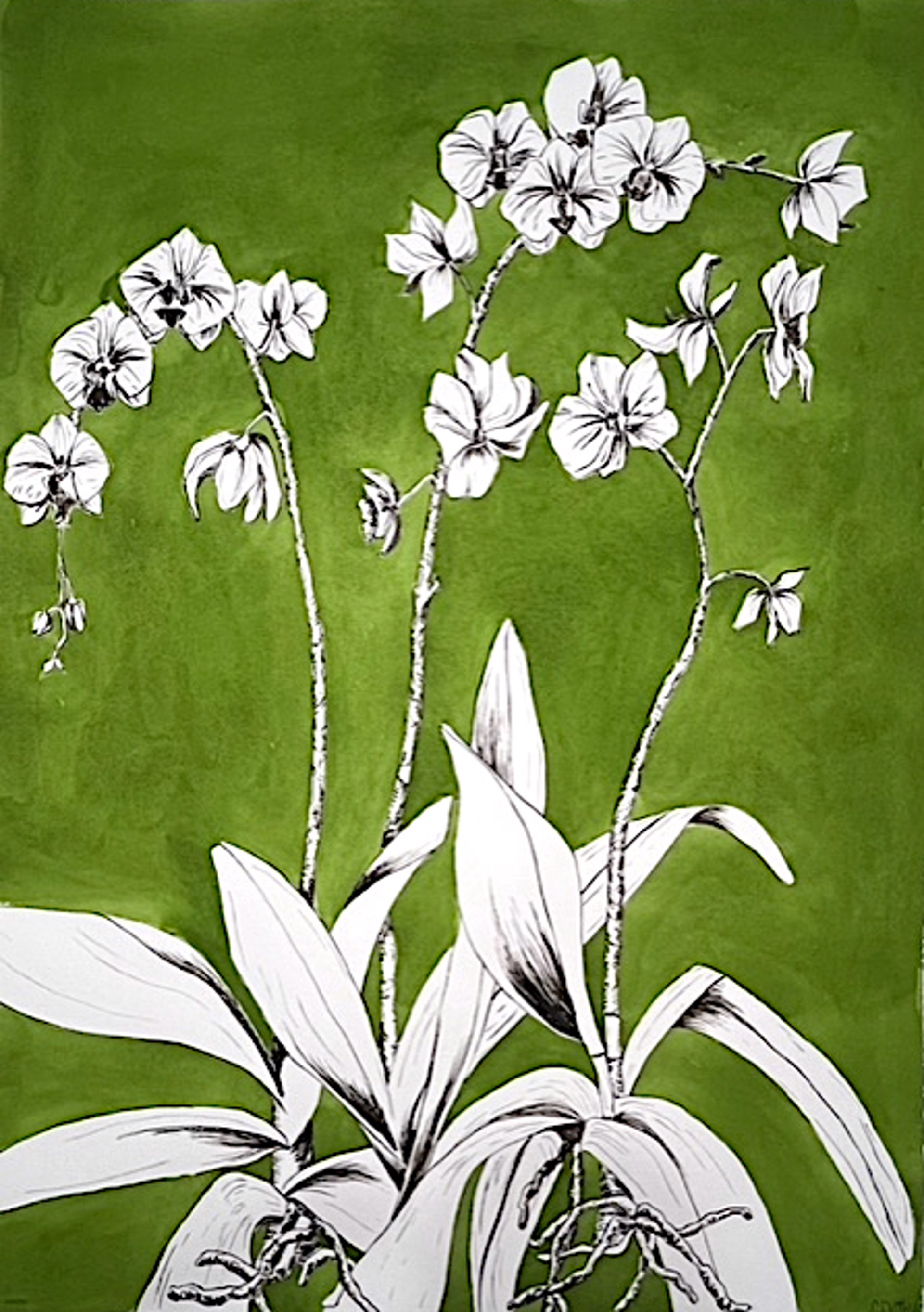Green Orchid III by Sarah Gentry