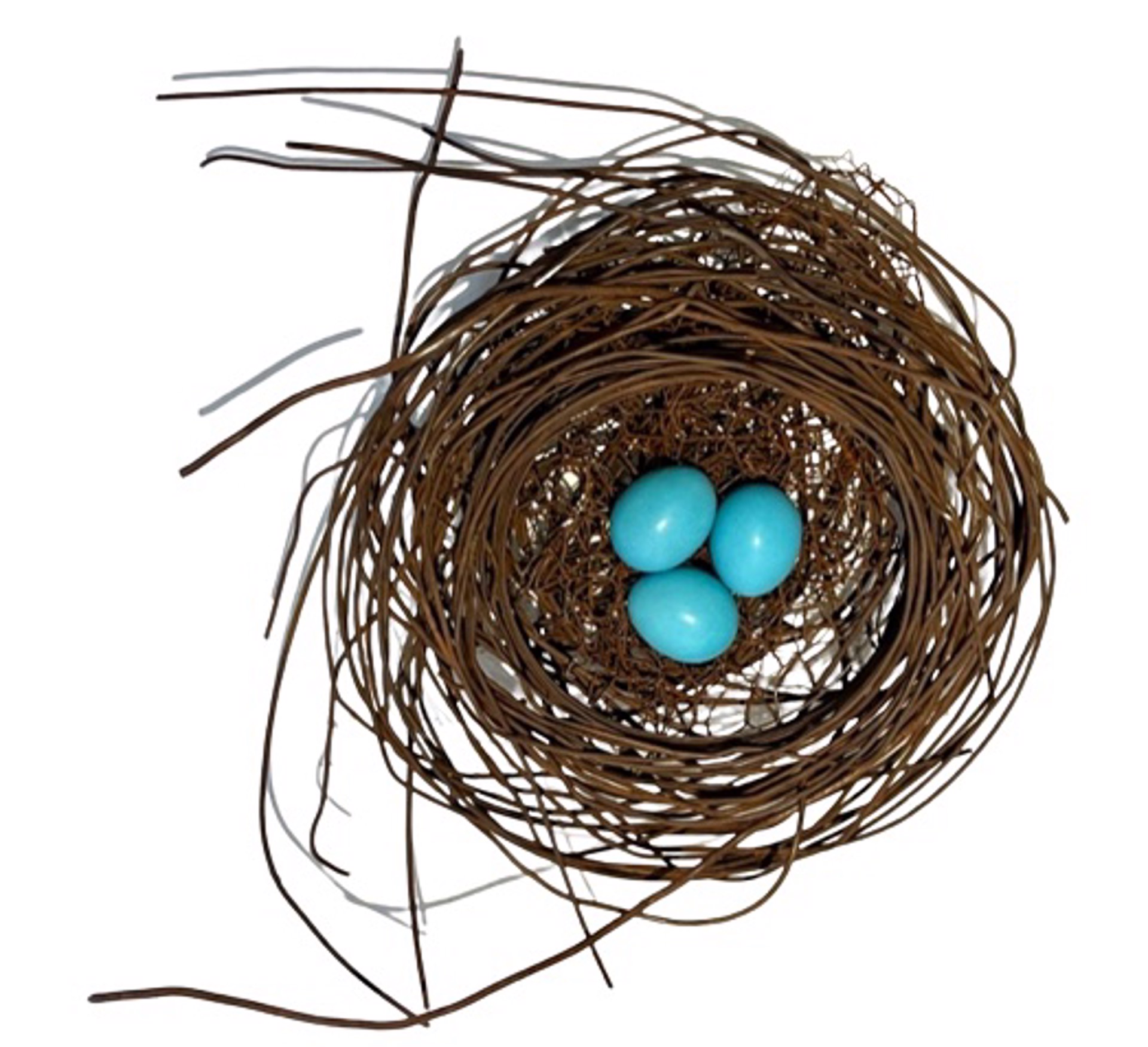 Hand Woven Wire Nest w/3 smallTurquoise Eggs #1372 by Phil Lichtenhan
