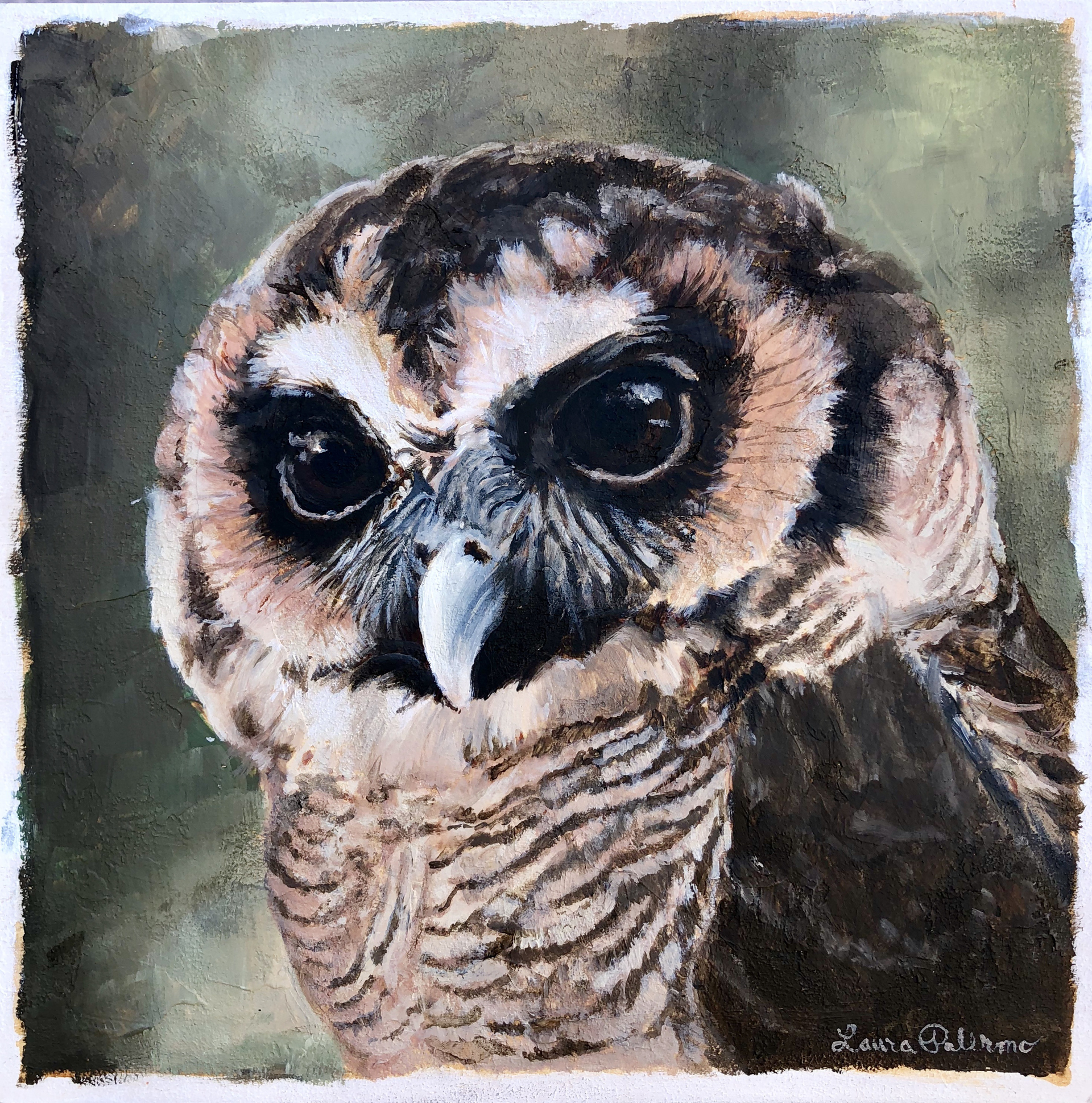 Asian Brown Wood Owl by Laura Palermo