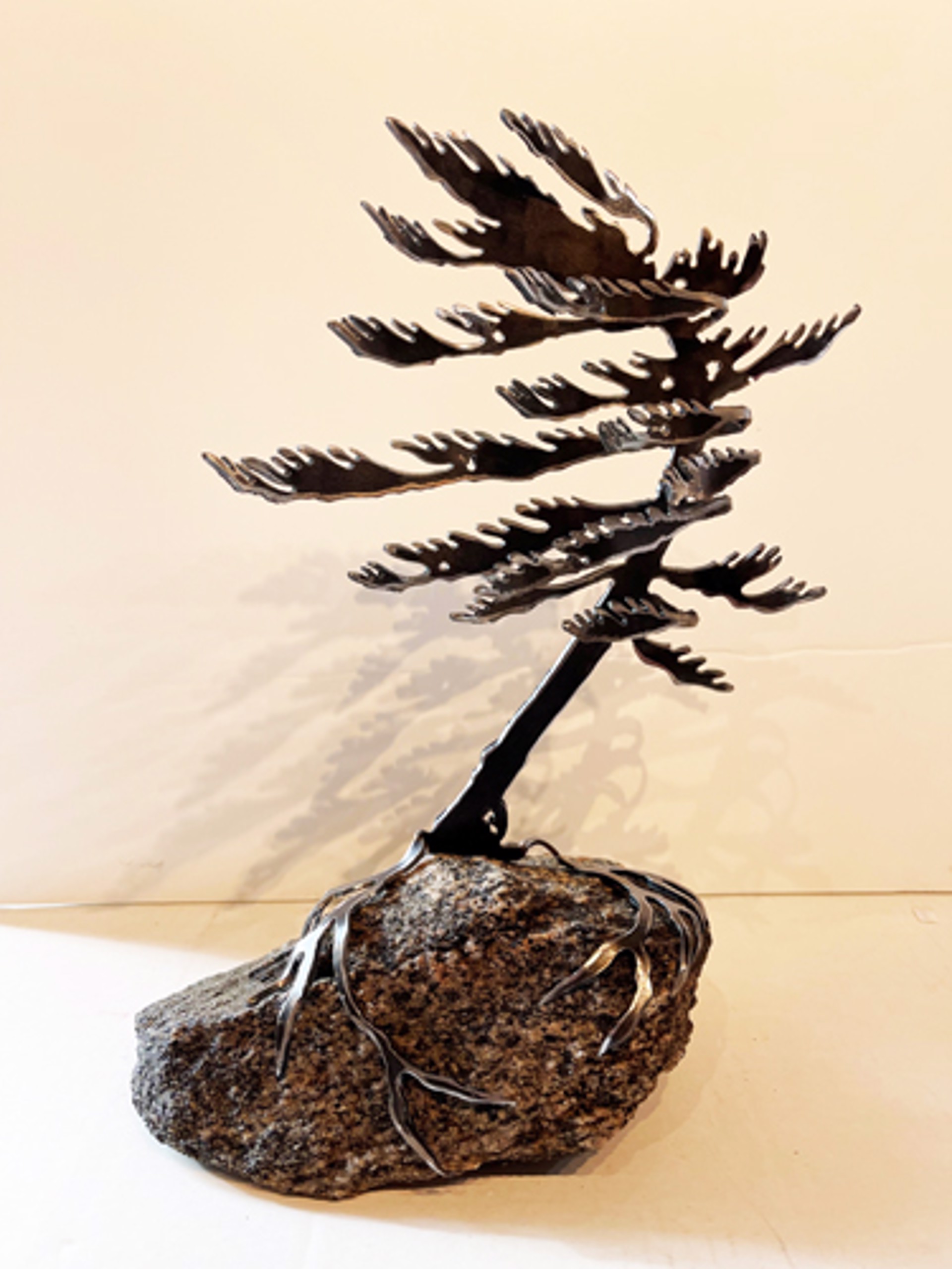 Windswept Pine 659520 by Cathy Mark