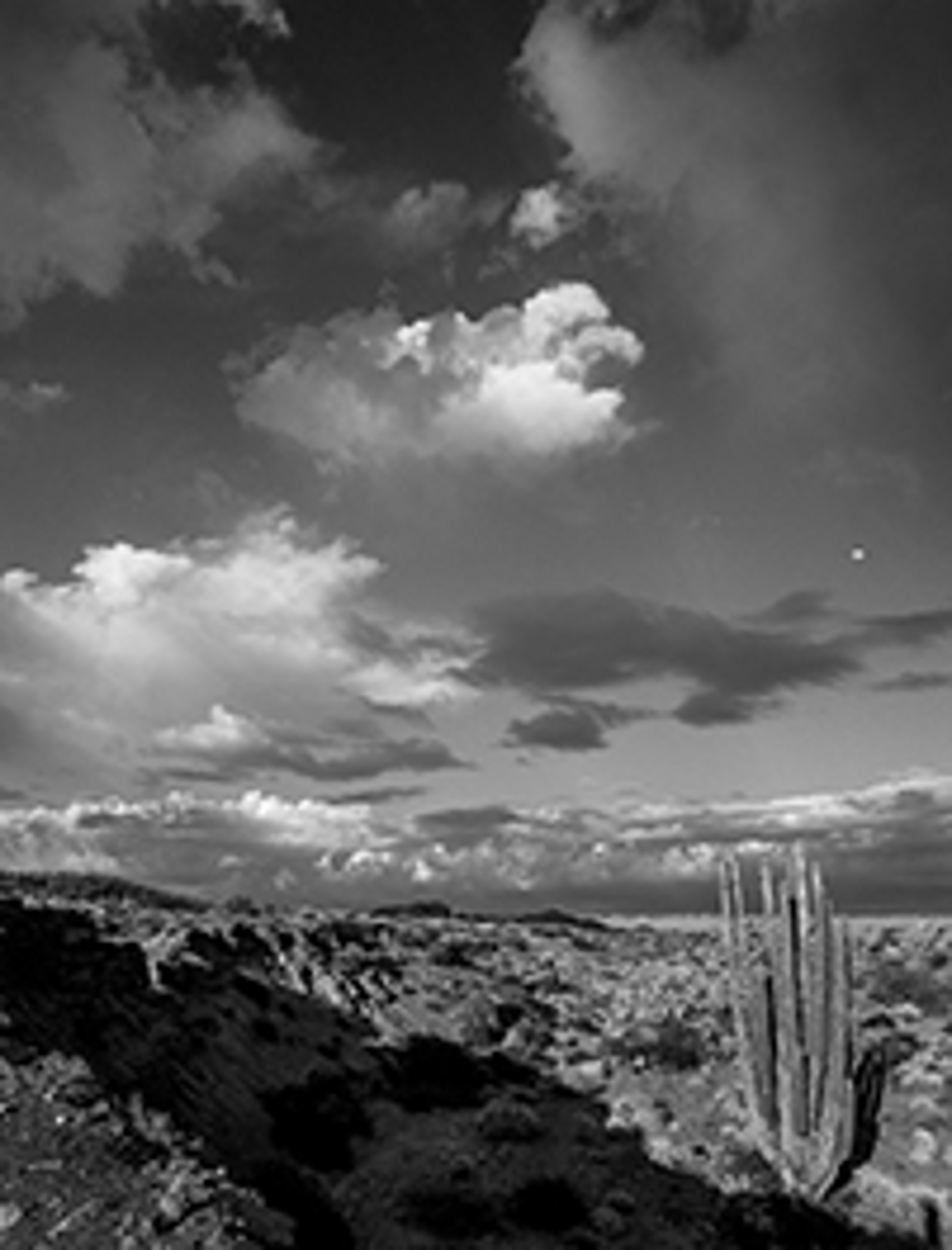 Moonrise Over Cardon 20 x 16 by Lance Bell