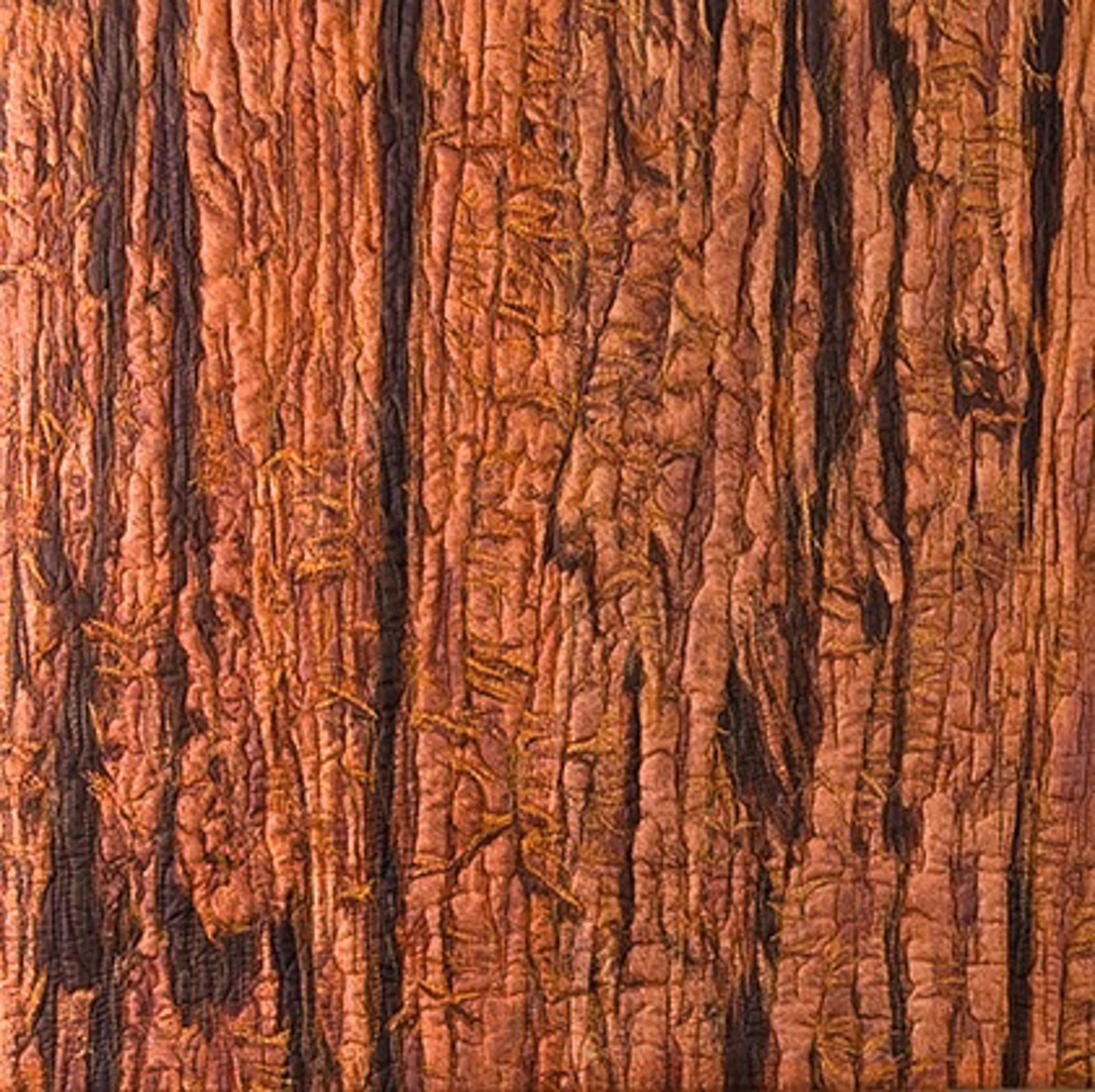 Cedar Bark 1 by Martha Cole
