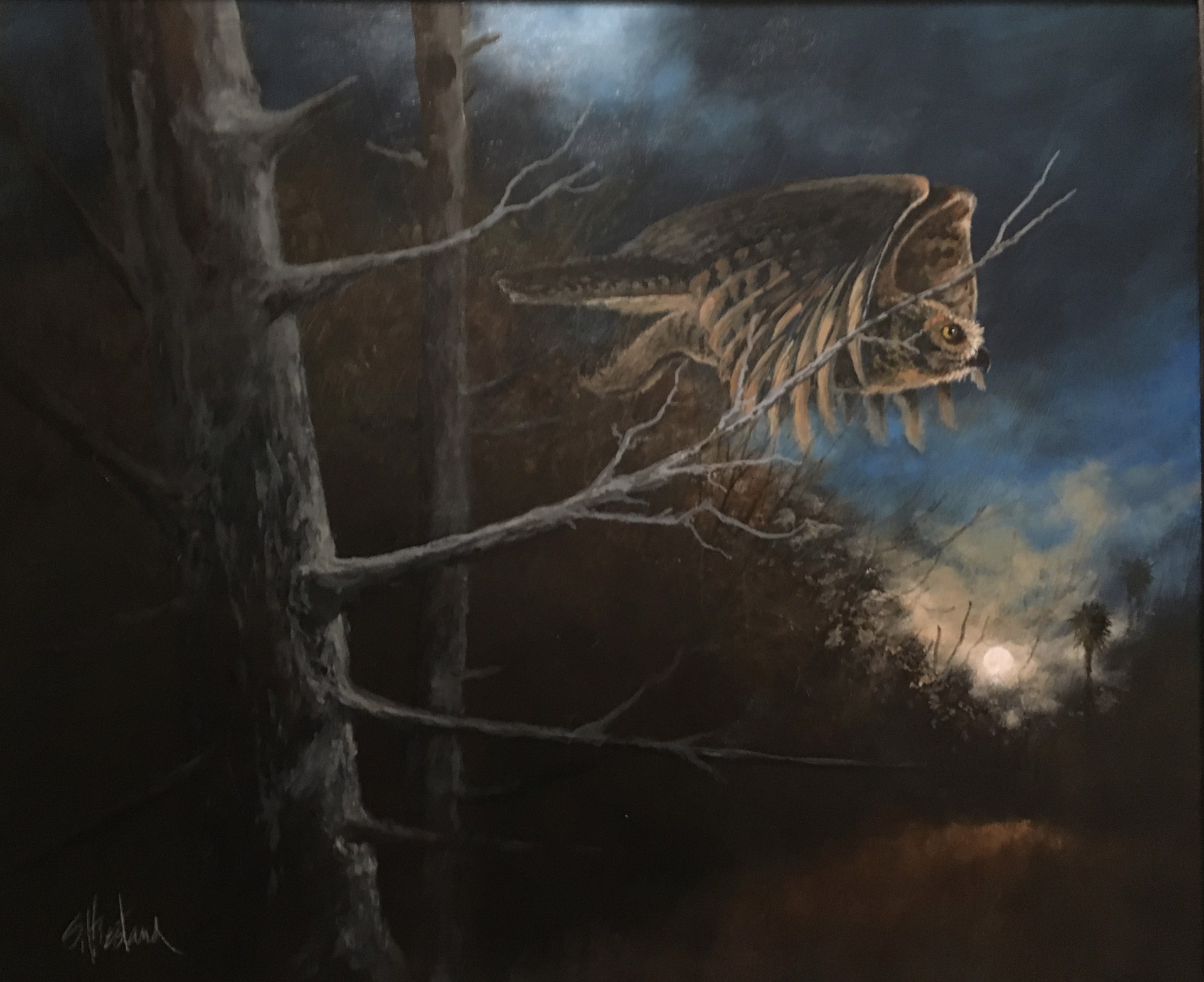 Night Moves by Scott Hiestand
