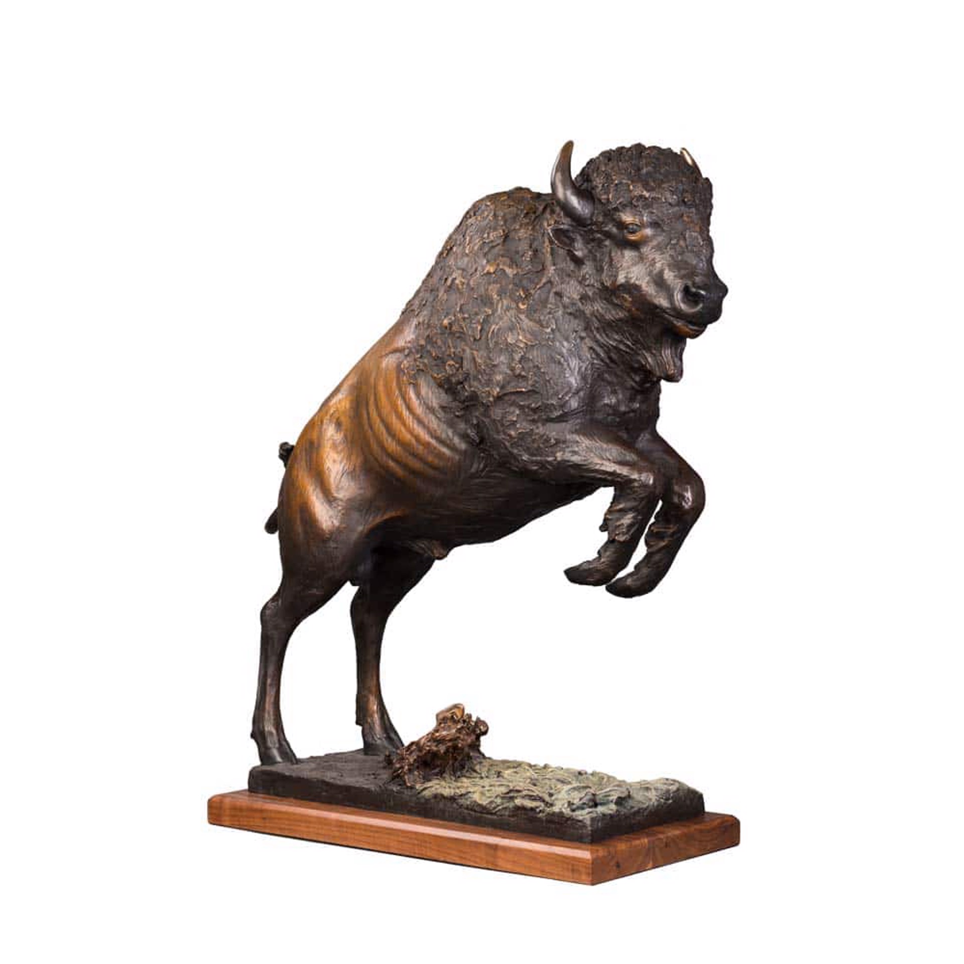 Bison Original Bronze Sculpture by Rip and Alison Caswell, Contemporary Fine Art, Modern Wildlife Art, Available At Gallery Wild