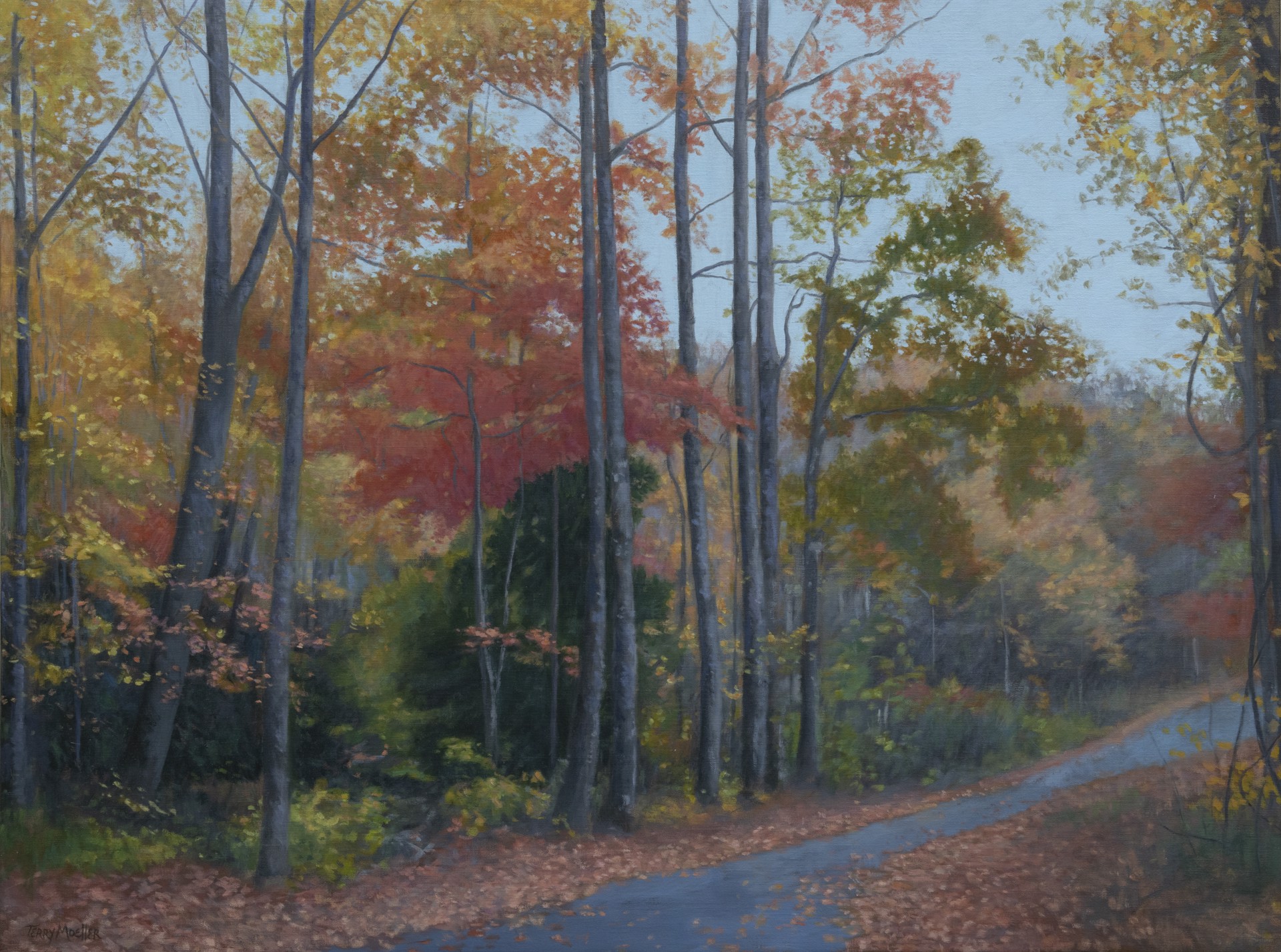 Country Road, South Carolina # 2 by Terry Moeller