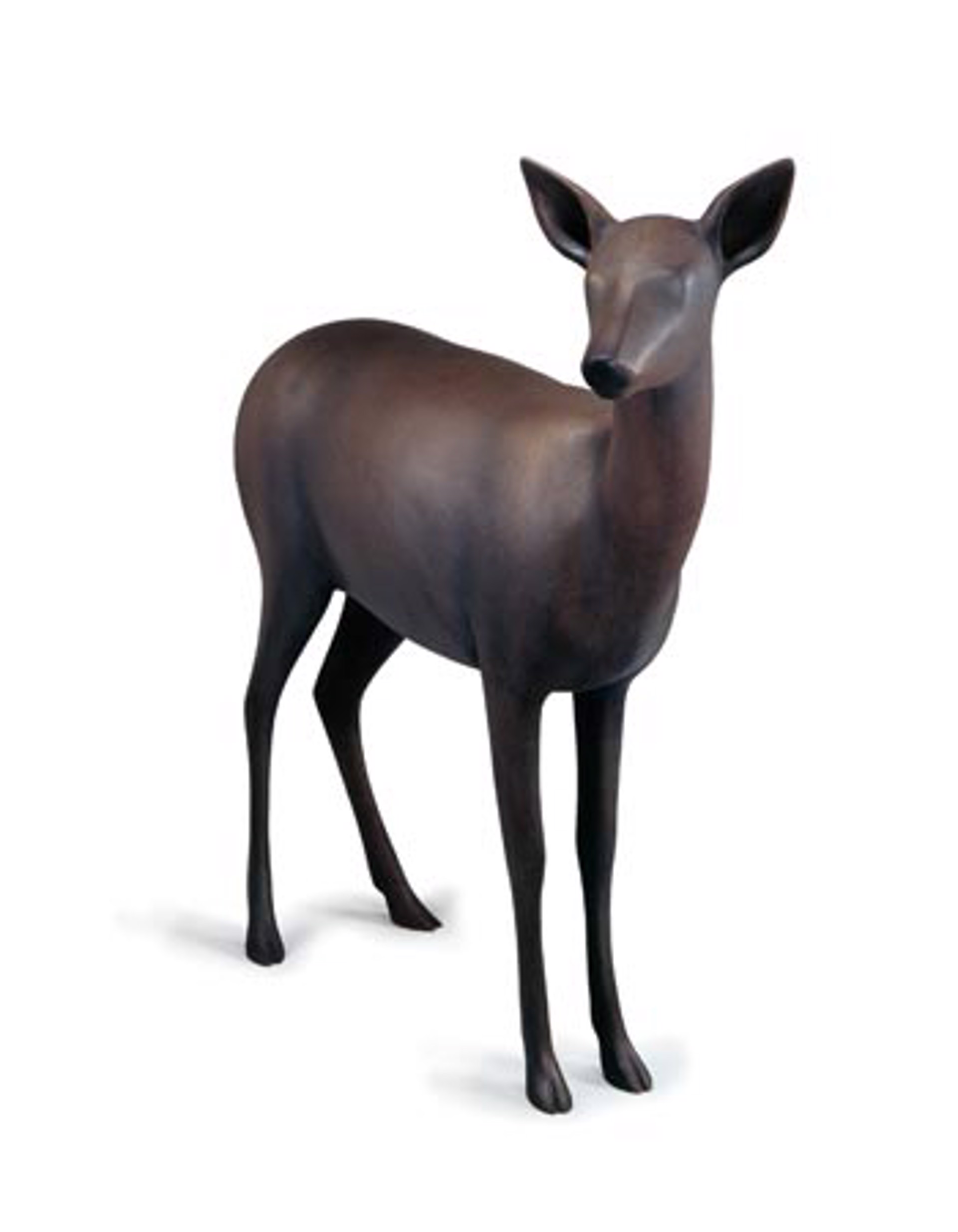 Deer 1 by Gwynn Murrill