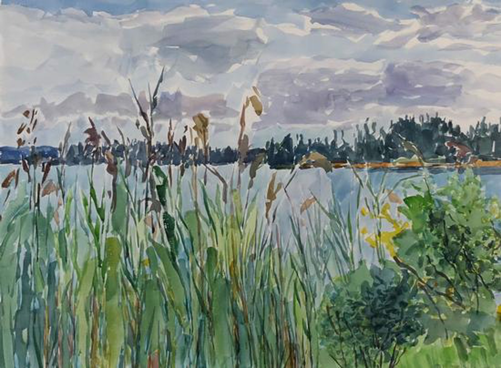Reeds at Emma Lake by Dorothy Knowles