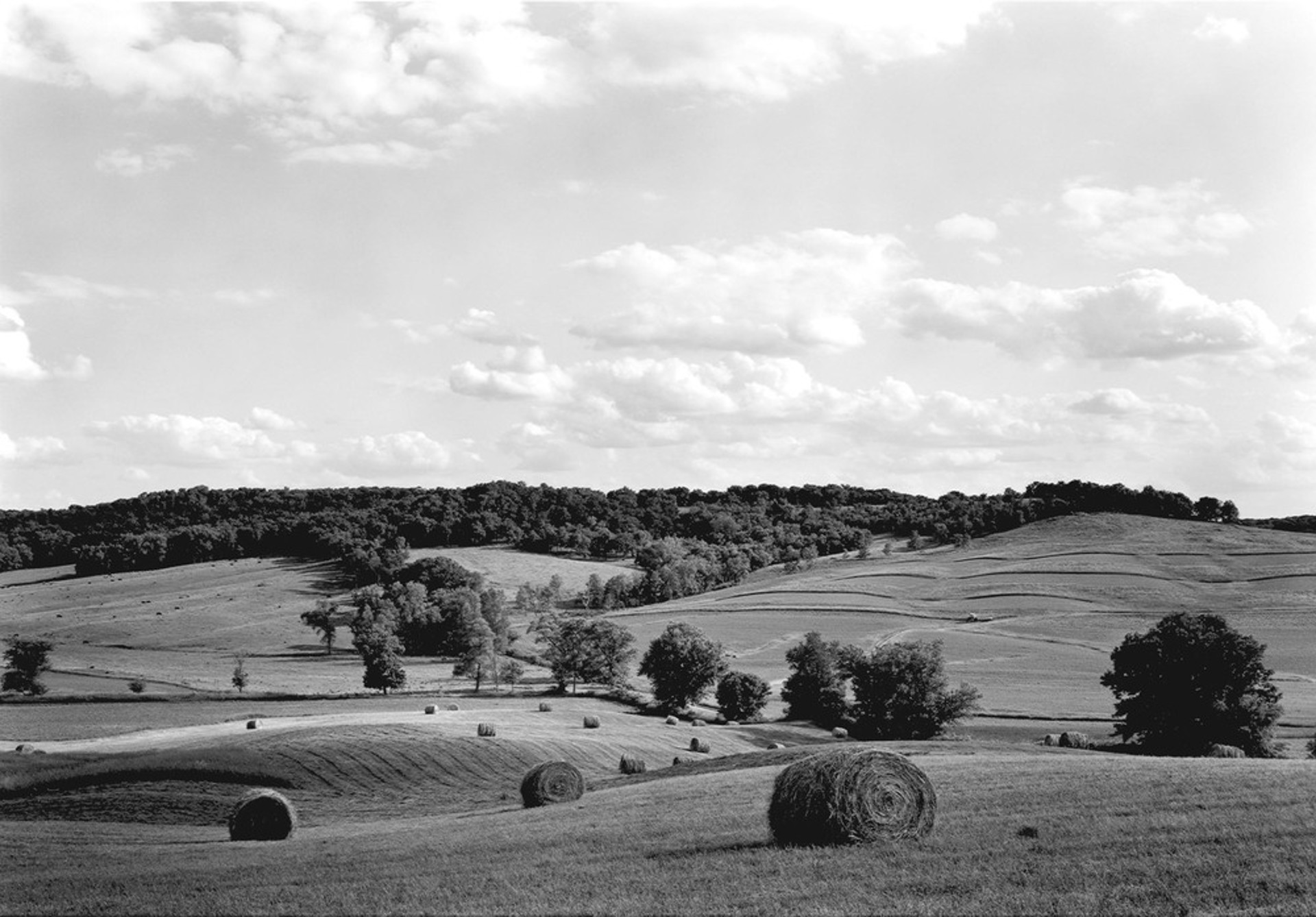 Landscape with Round Bales by Michael Johnson