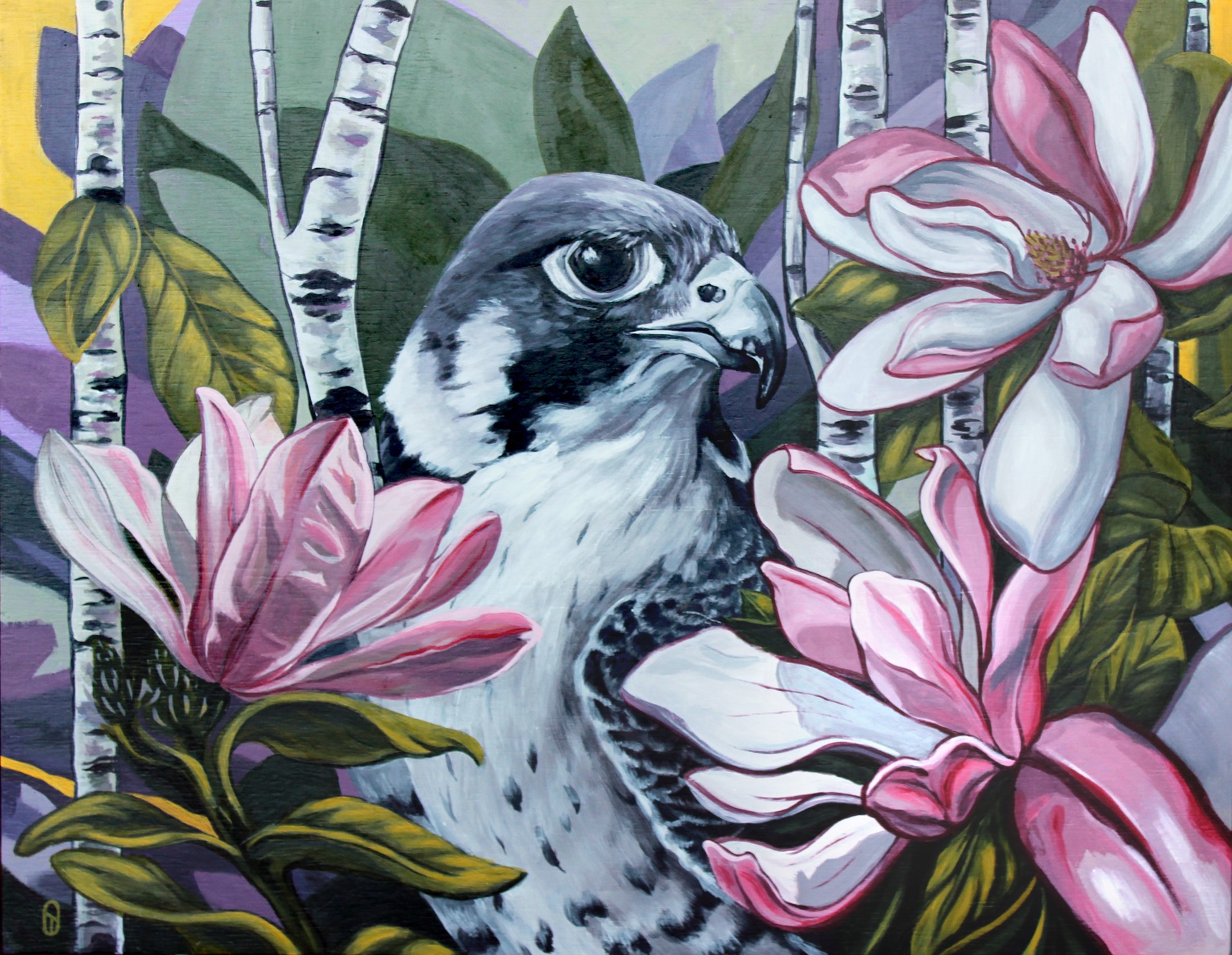 Peregrine Falcon by Sophy Tuttle