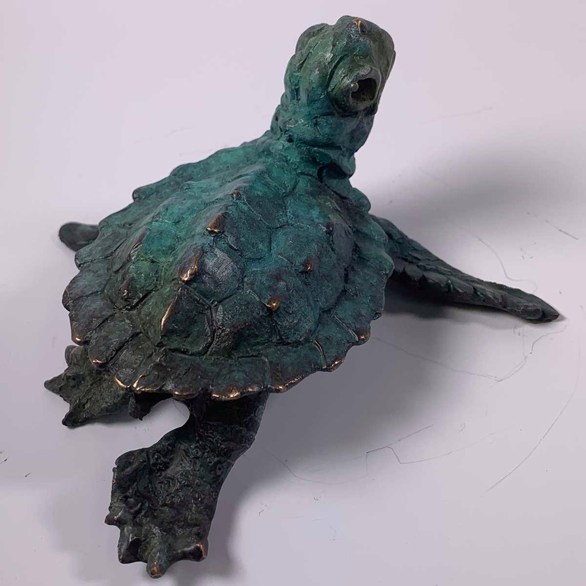 Sea Turtle D by Dan Chen