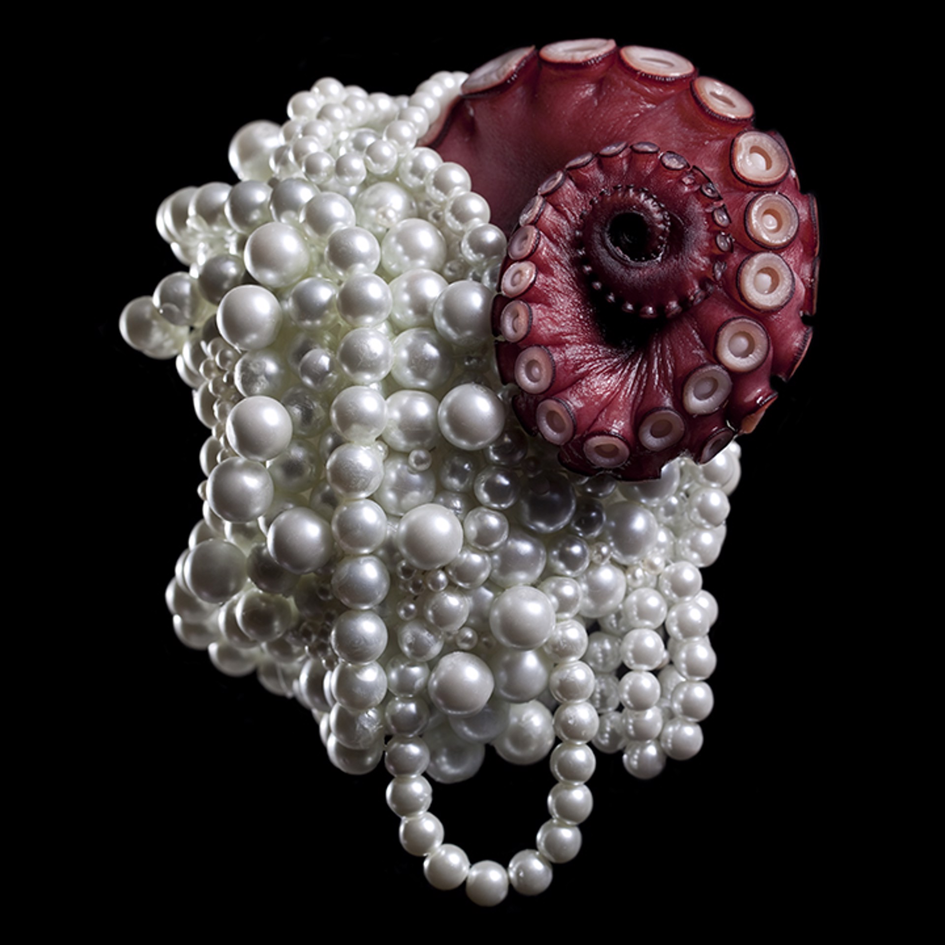 Octopus Pearls by Max Shuster