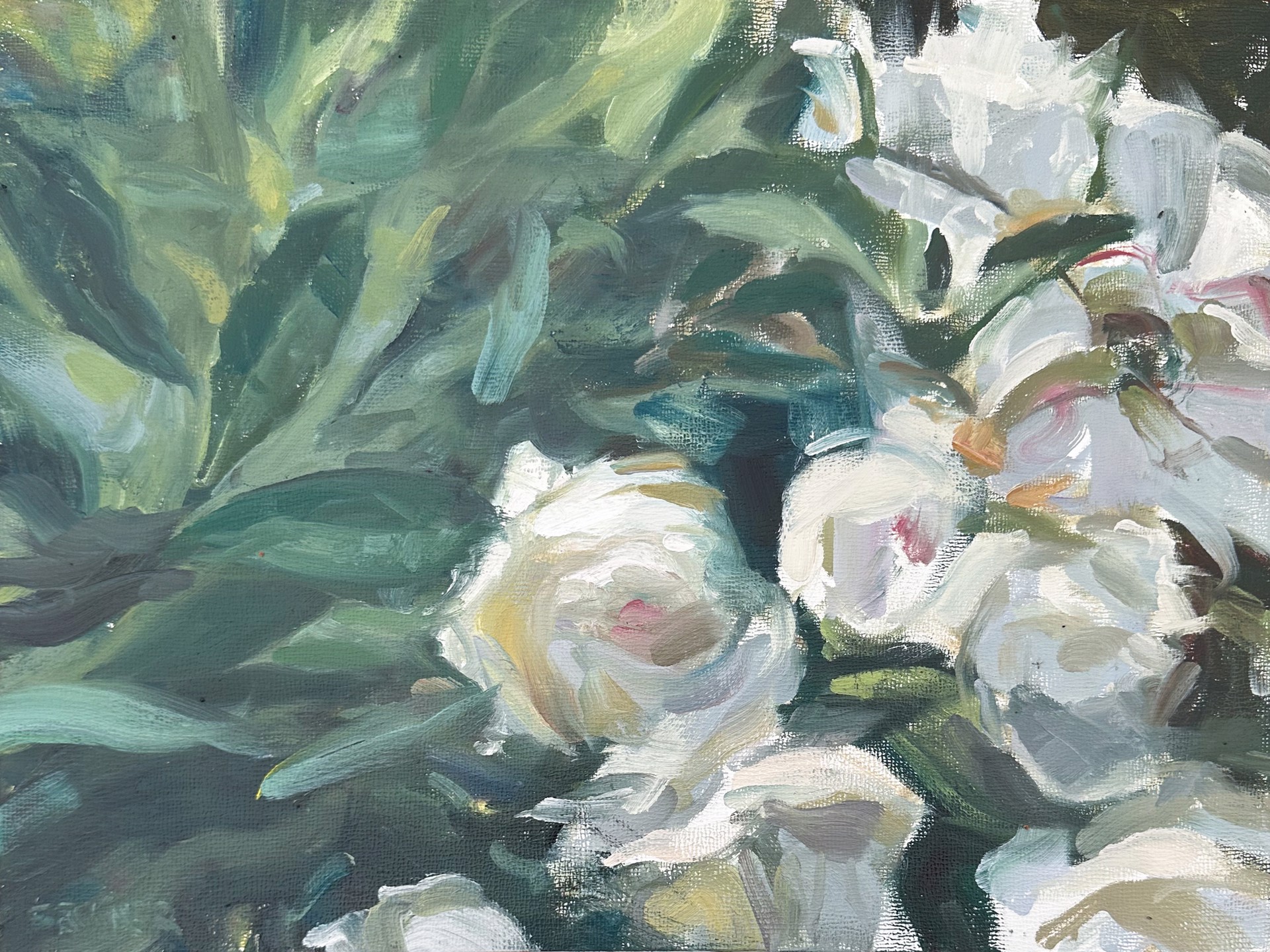 White Peonies by Jim Beckner