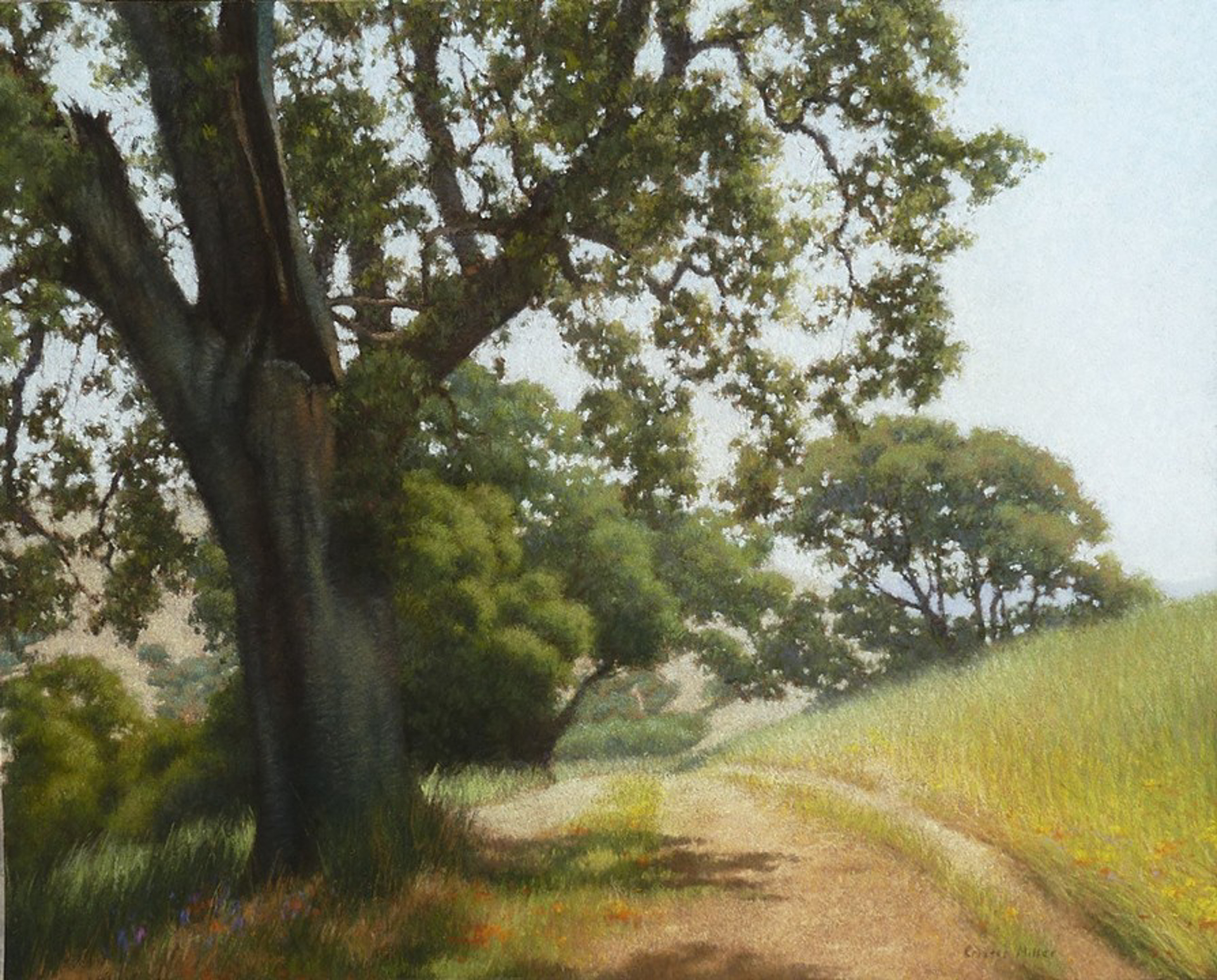 Old Oak, The by Cristen Miller