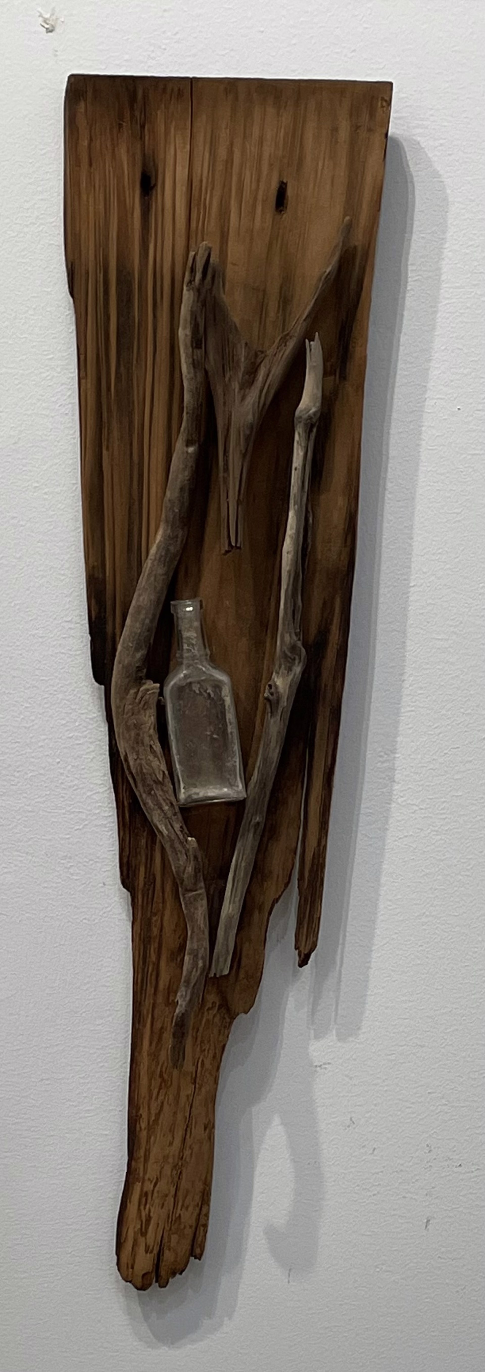 Bottled Love Driftwood Wall Art #2 by Jason Davis