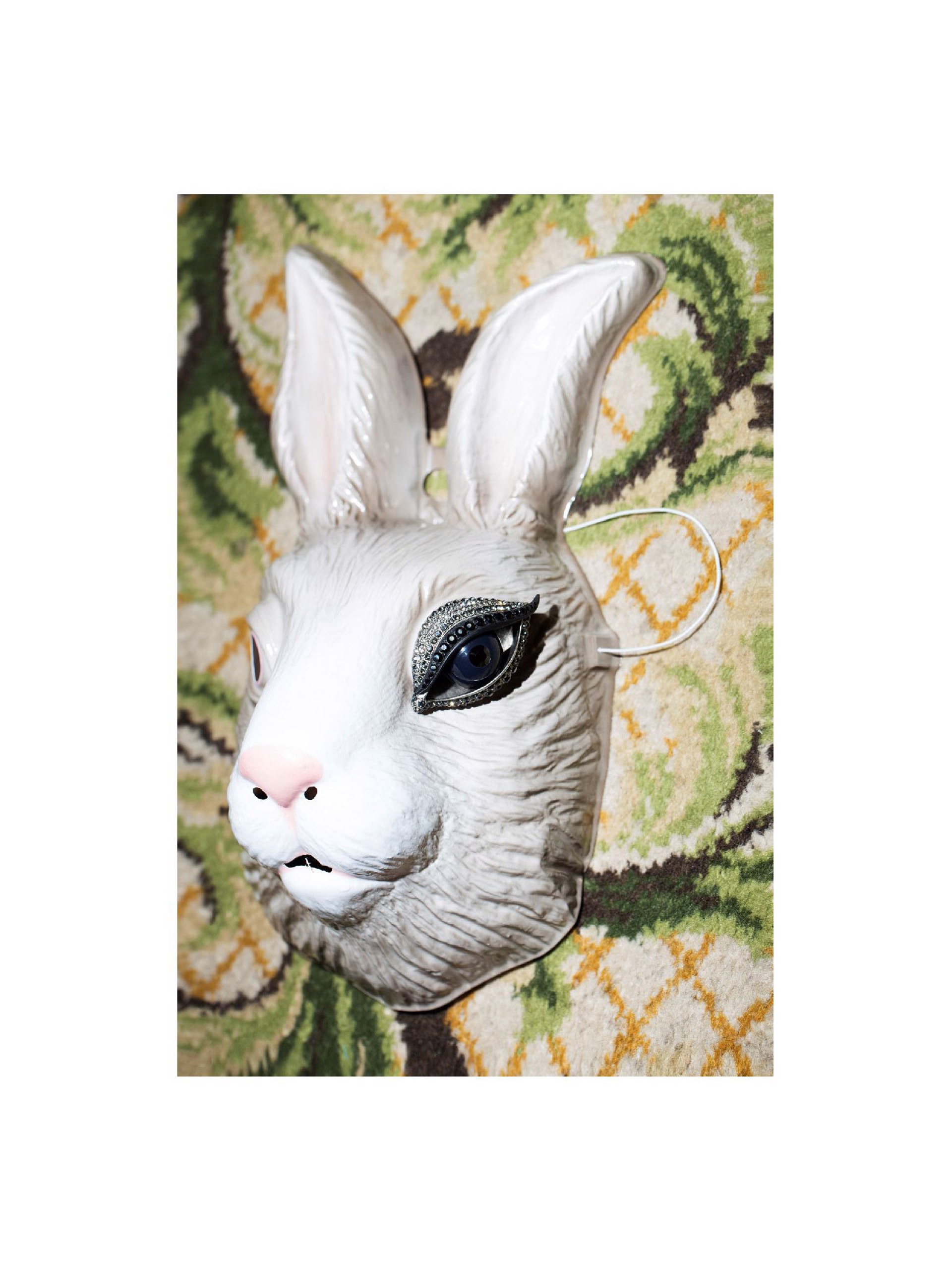 Rabbit by Thom Jackson