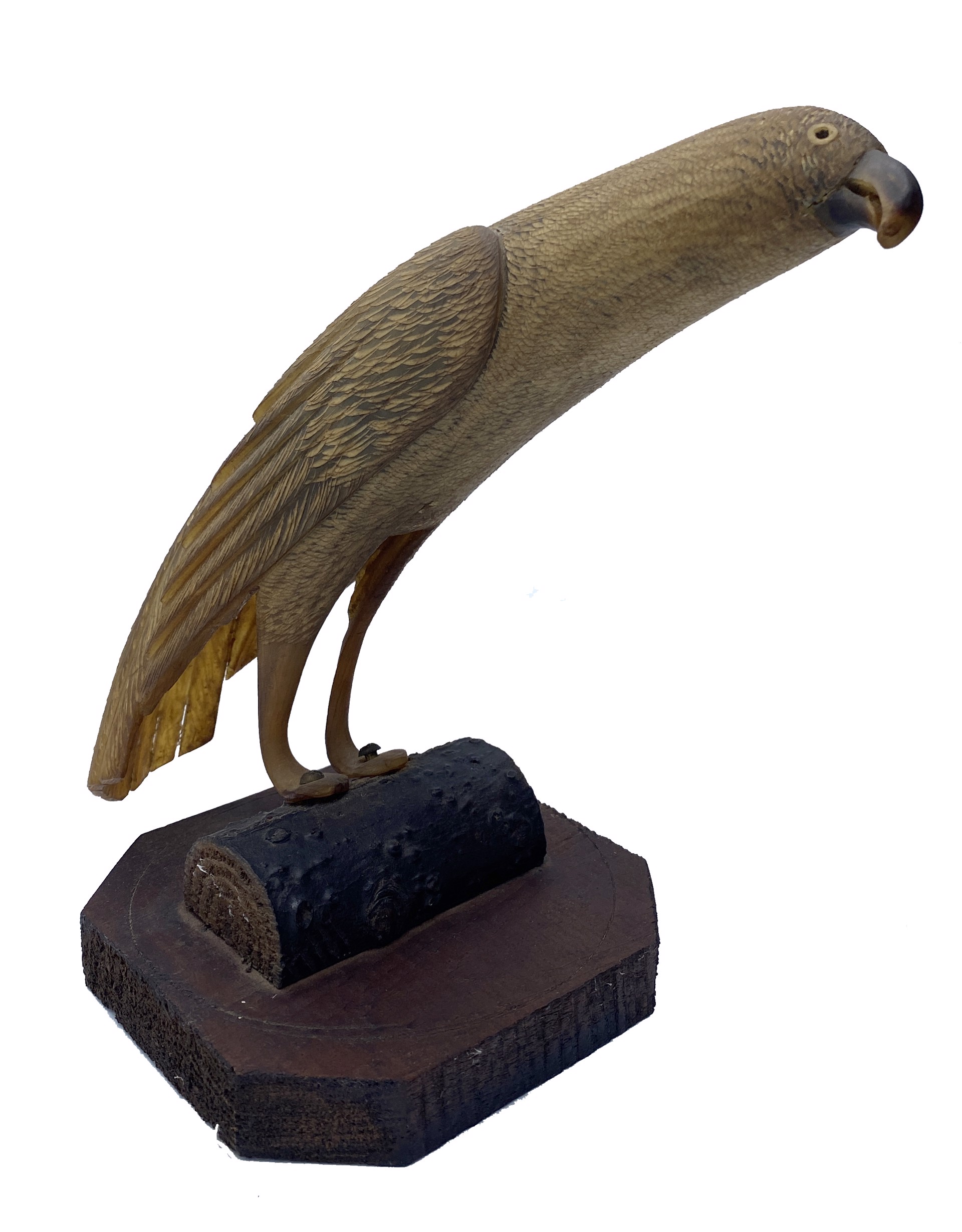 DS-51: carved horn blonde parrot standing on log by Dan Super