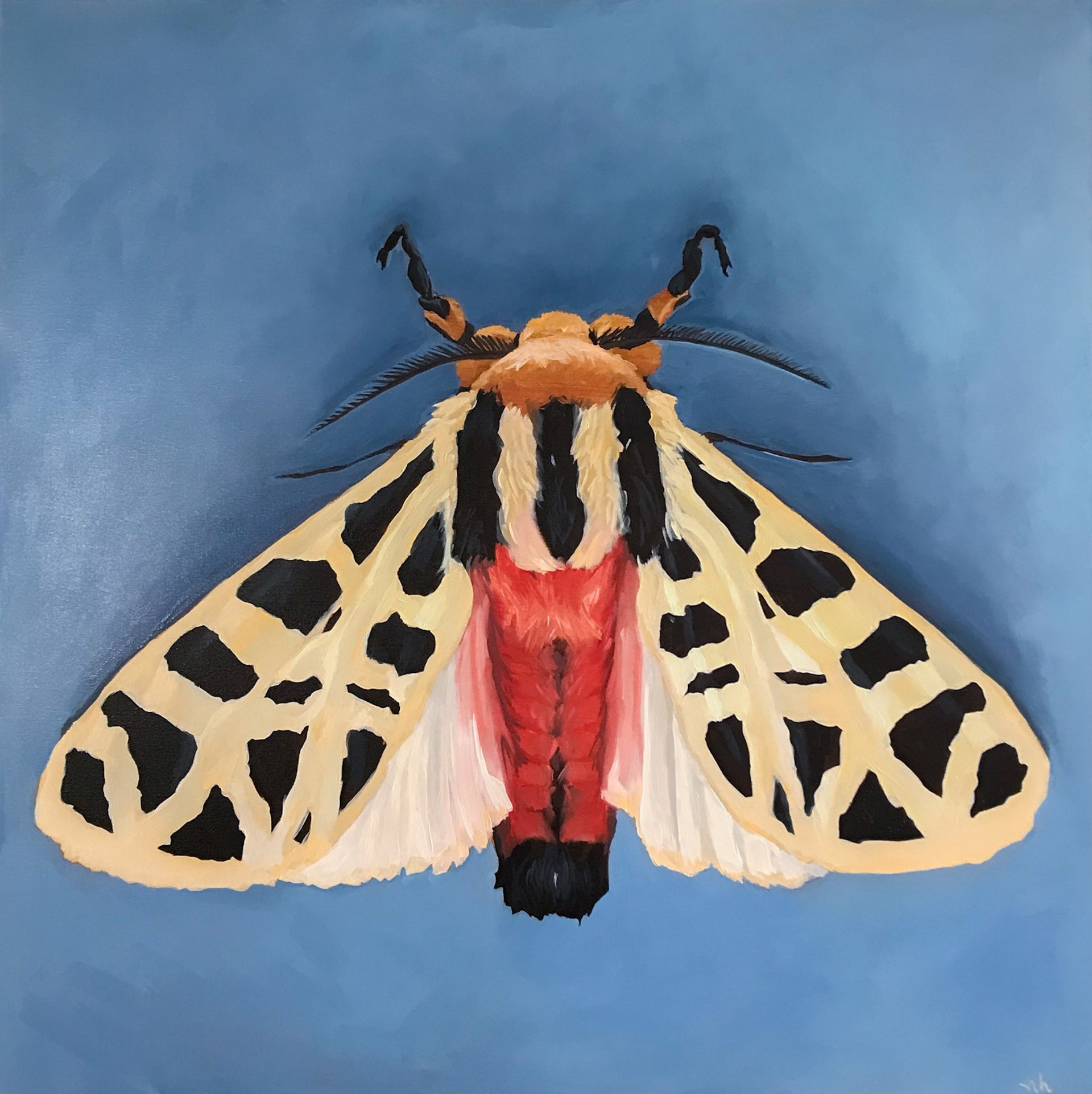 Mexican Tiger Moth by Noelle Holler