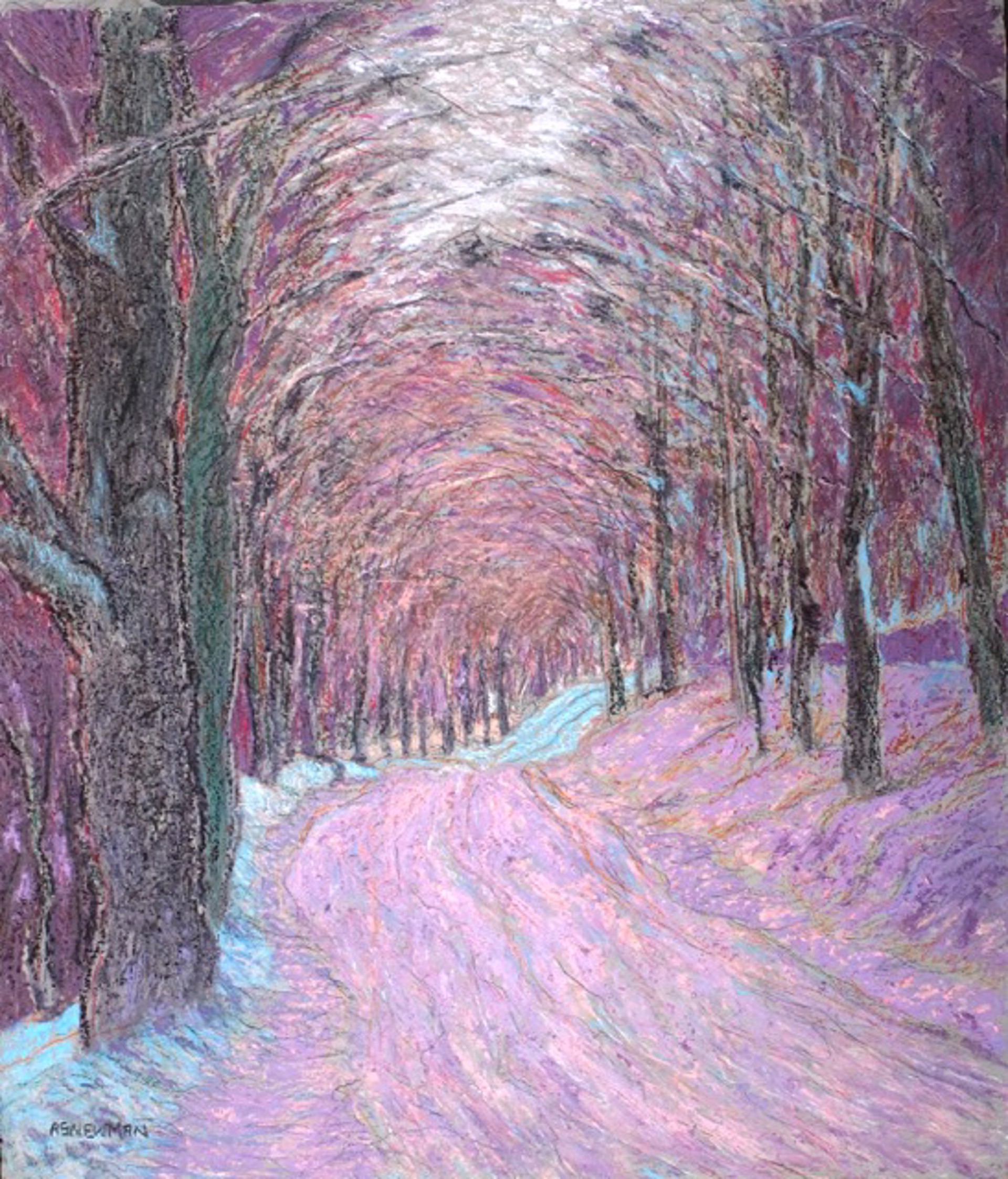 Kibling Hill Road (Winter) by Andy Newman