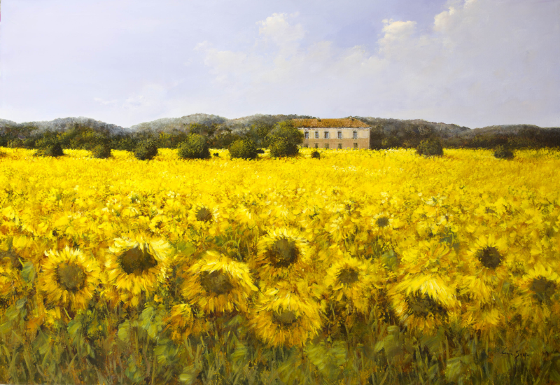 Sunflowers by Lucia Sarto