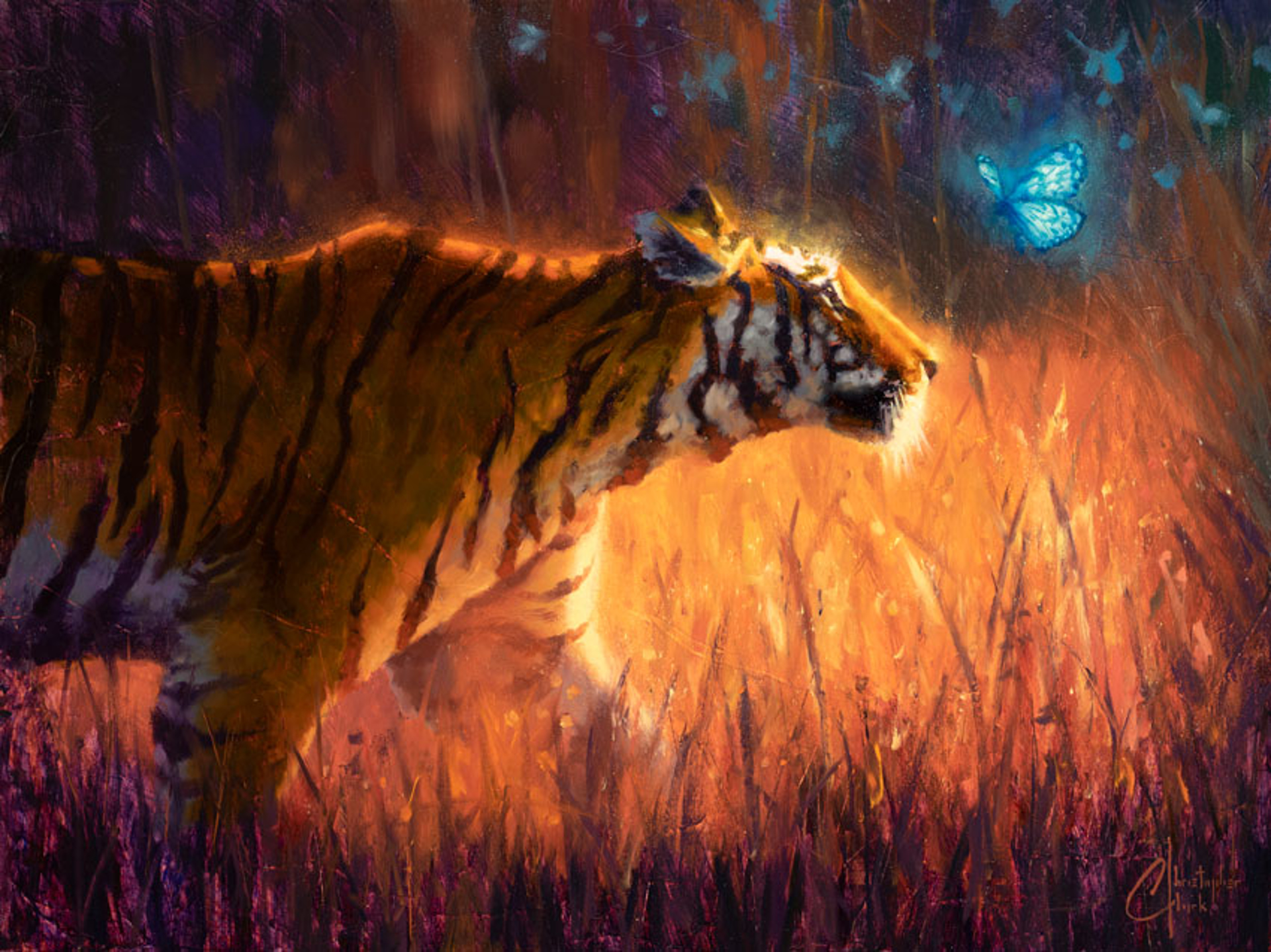 Tiger and Butterfly by Christopher Clark