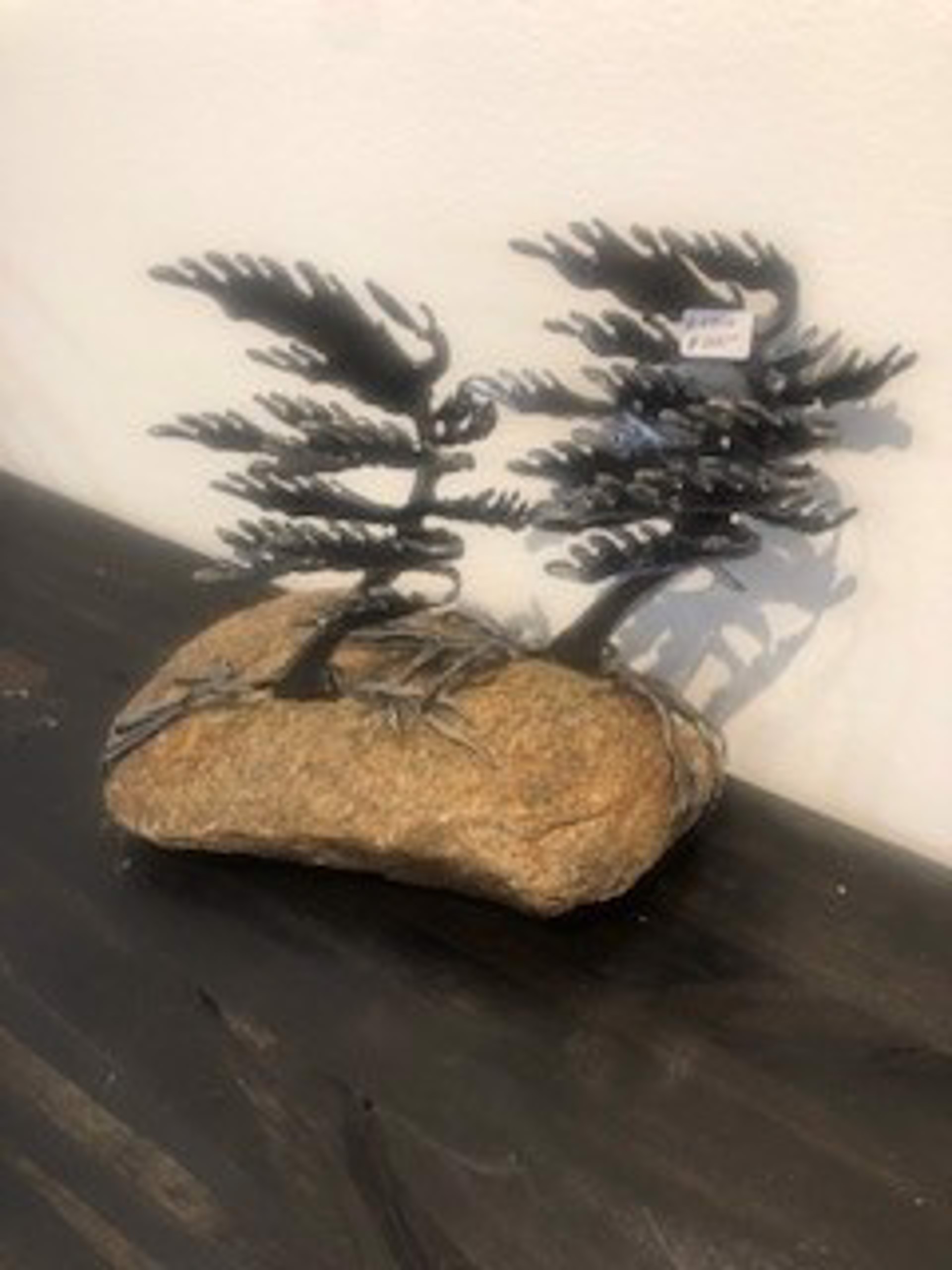 Two Pine Trees on a Rock - #6304 by Cathy Mark