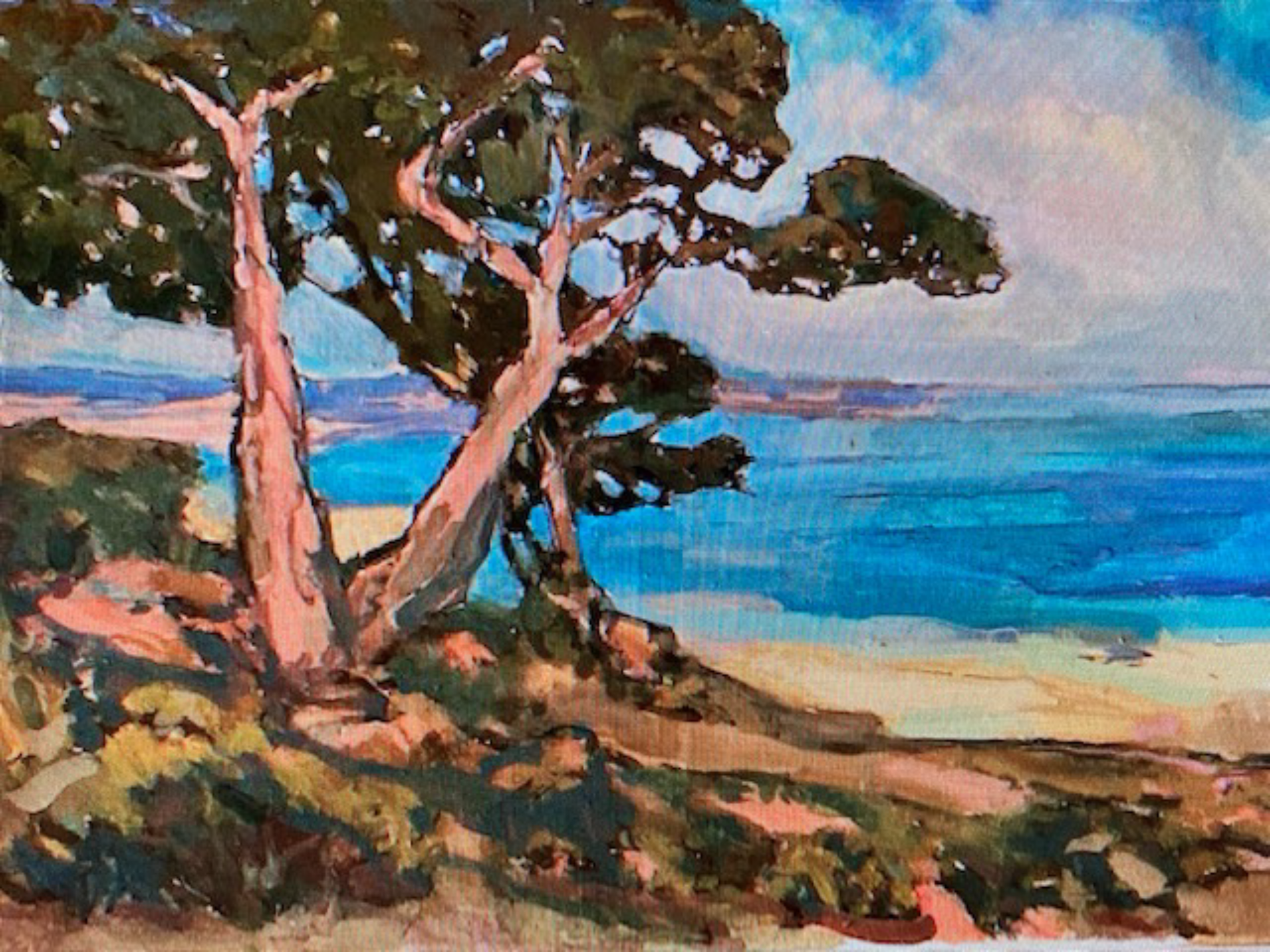 Torrey Pines View by John Cornfield