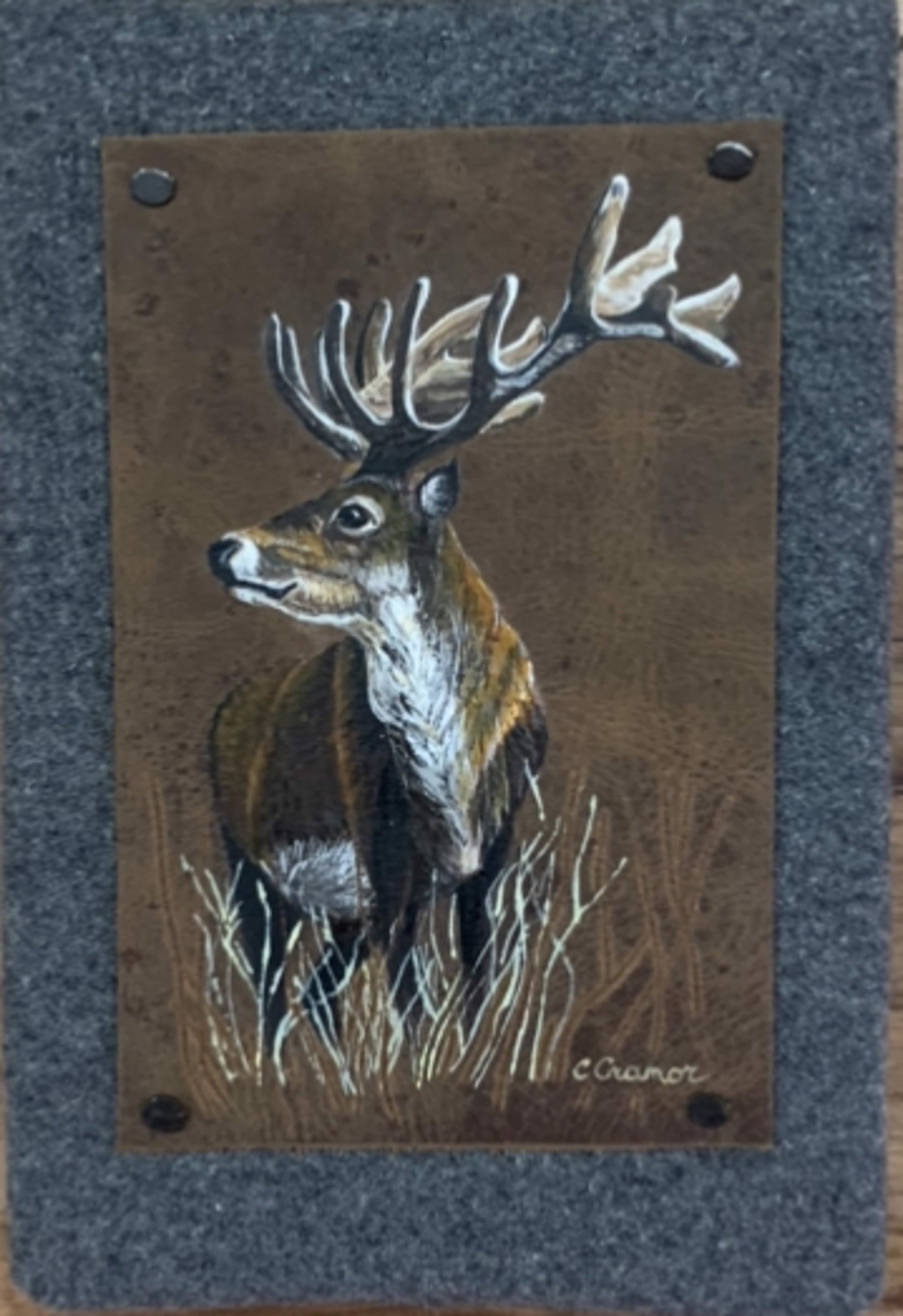 Handsome Buck by Cindy Cranor