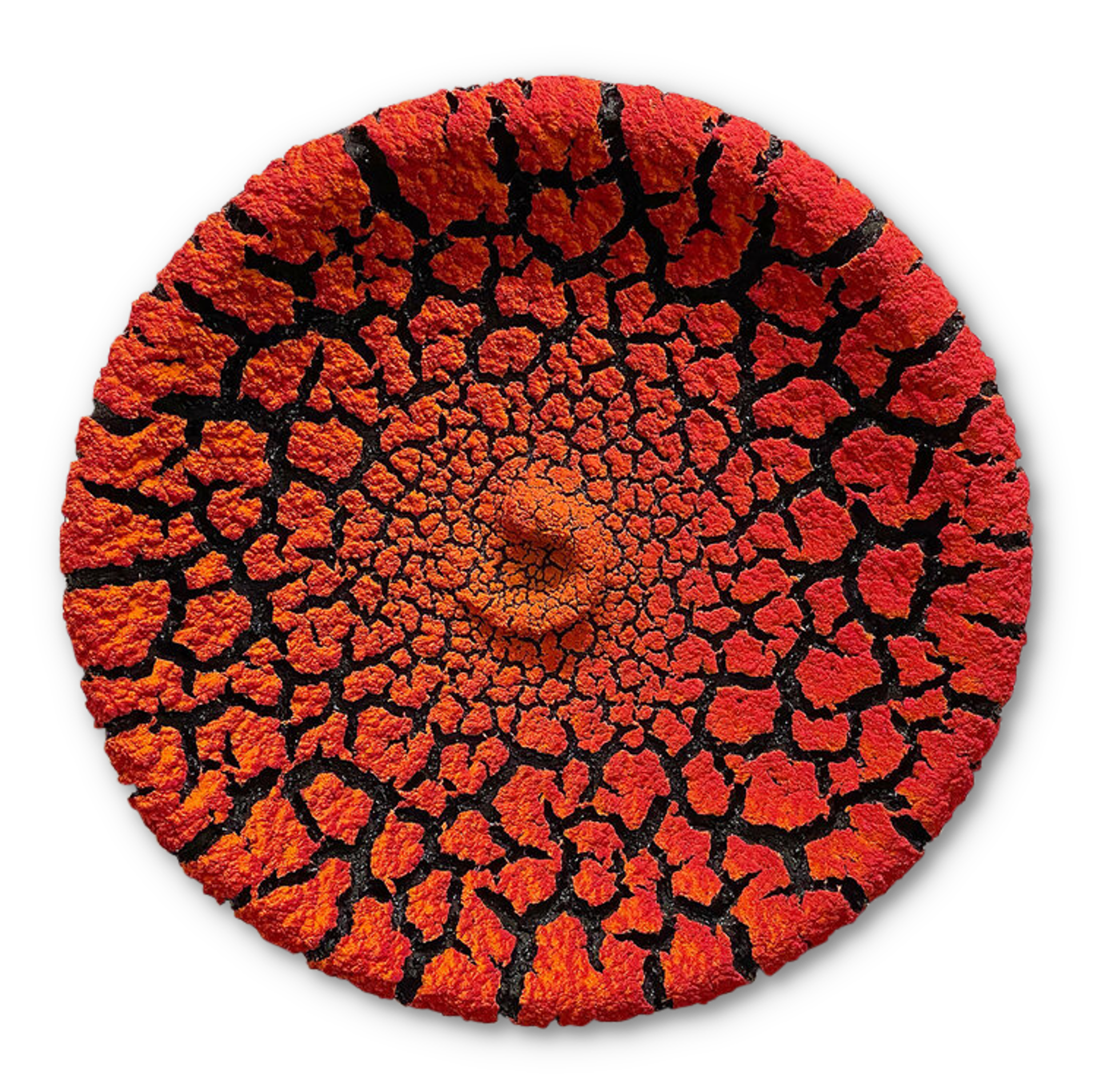 12" Lichen Platter ~ Color Choices Available by Randy O'Brien