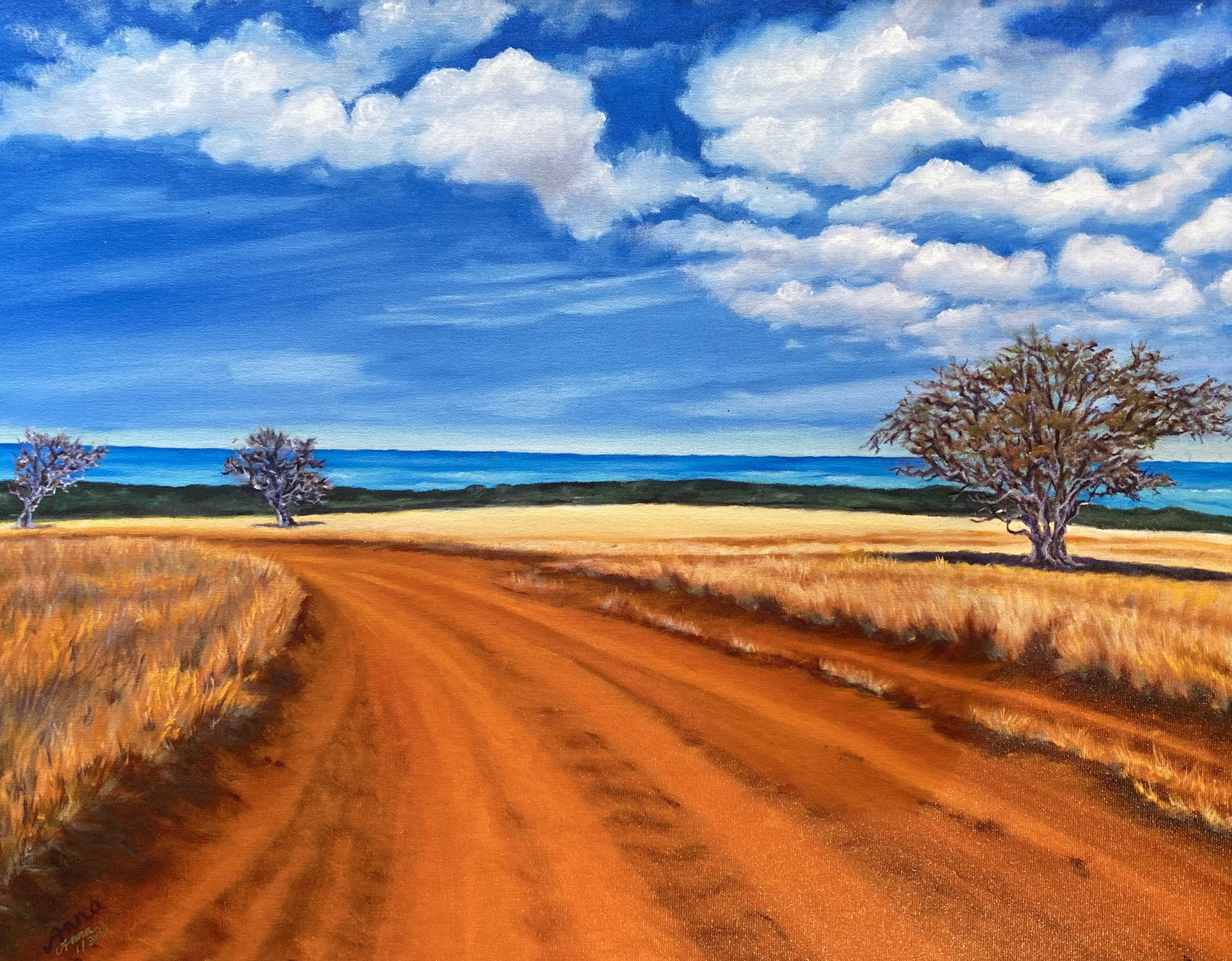 Red Dirt Road by Anna Fuernsteiner