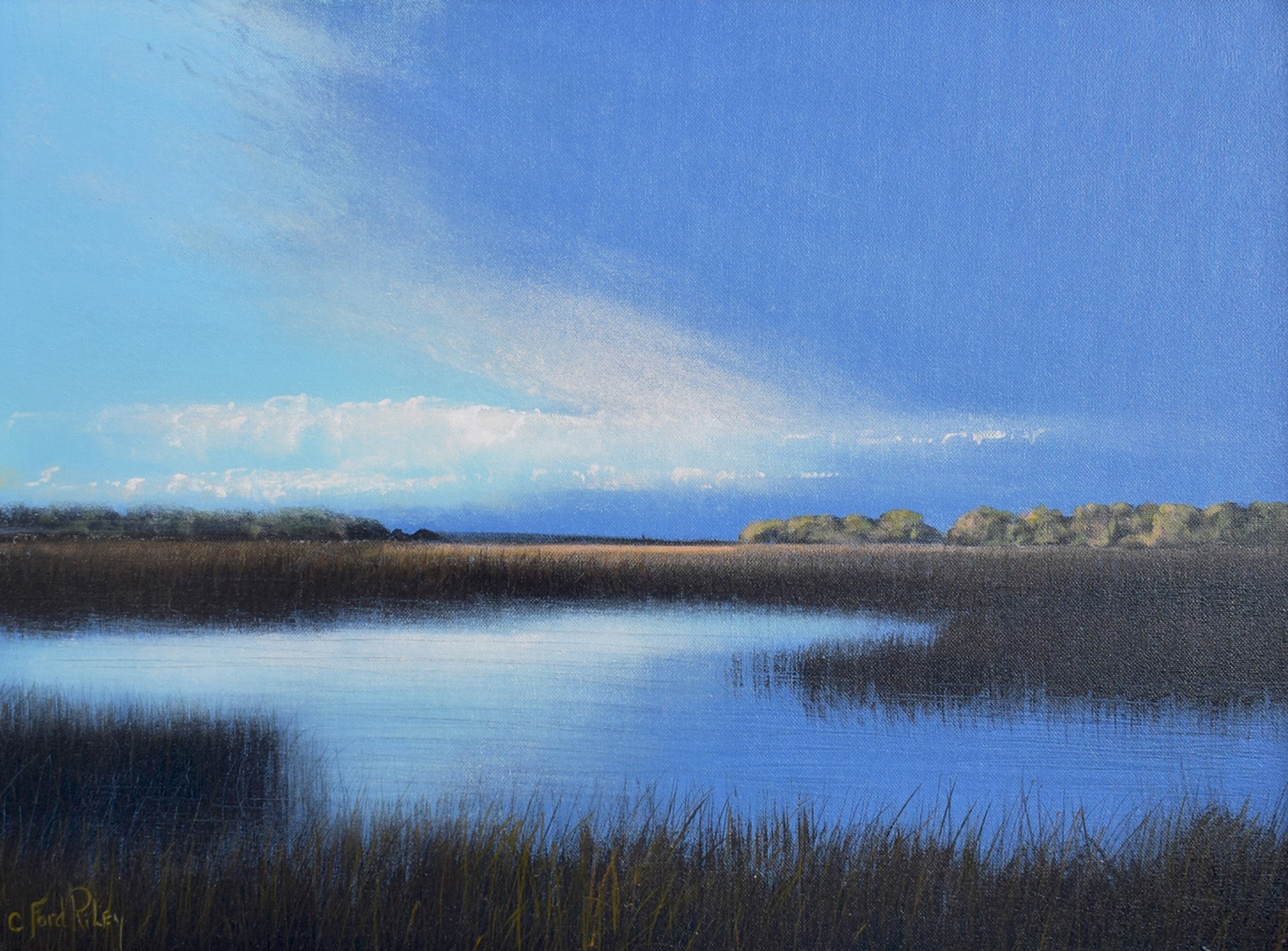 Quiet Marsh by C. Ford Riley
