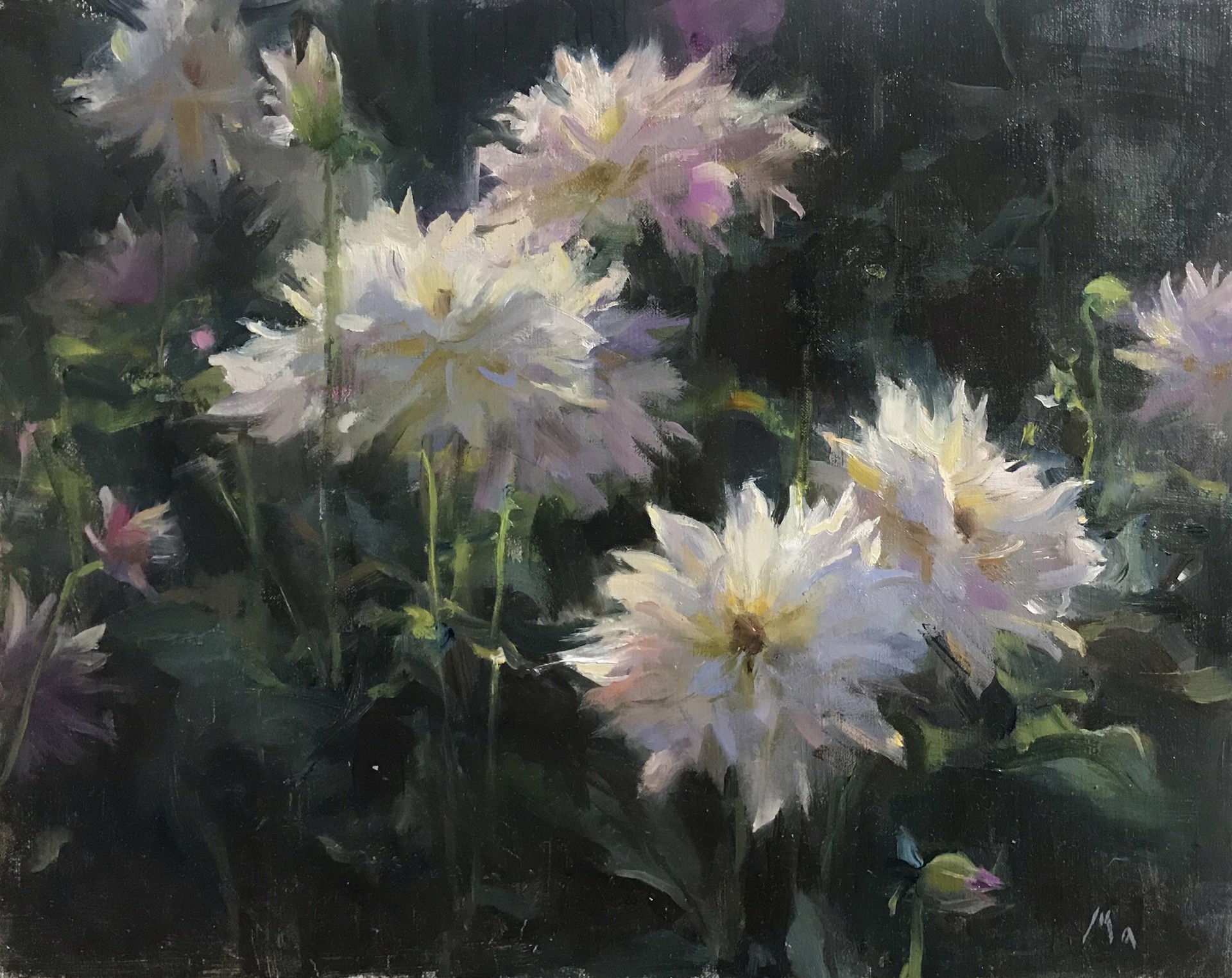 Dahlias in Afternoon Light by Kyle Ma