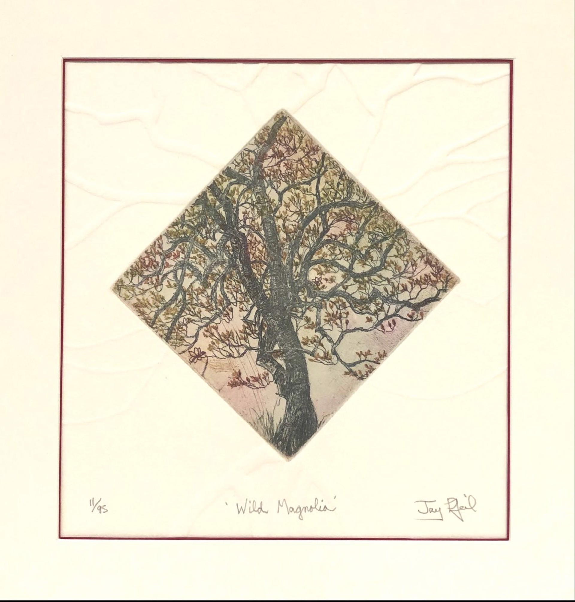 Wild Magnolia (Unframed) by Jay Pfeil