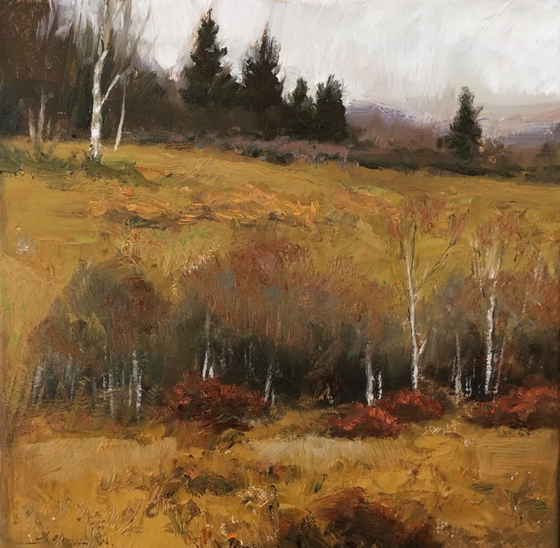 Autumn Hillside by Dennis Sheehan
