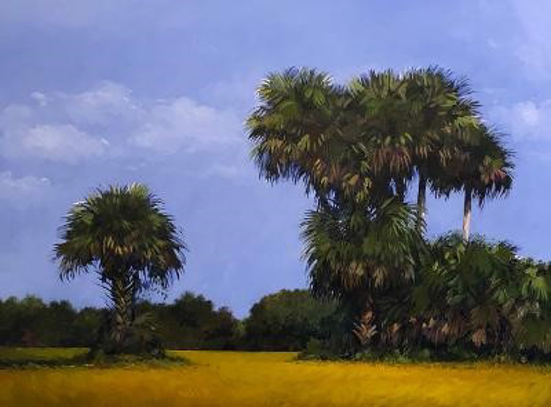Palm Trees Field by Eleanor Blair
