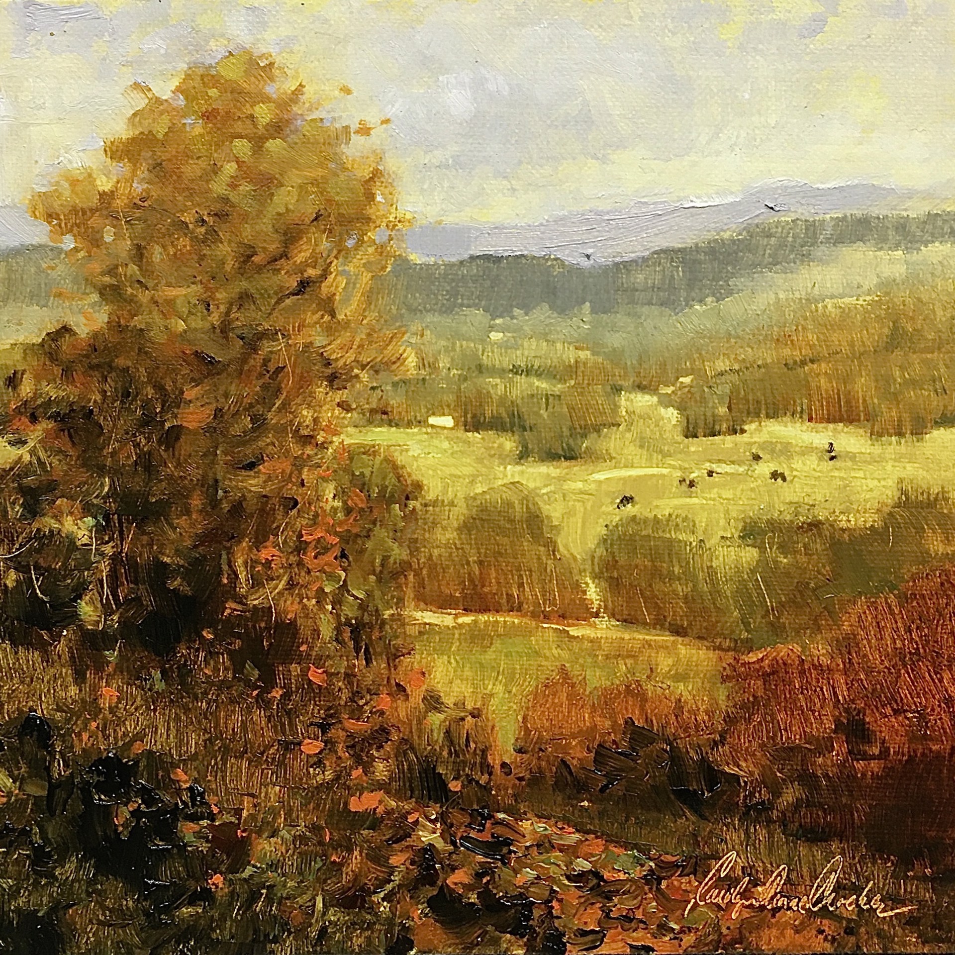 Appalachian Fall by Carolyn Crocker (Rue)